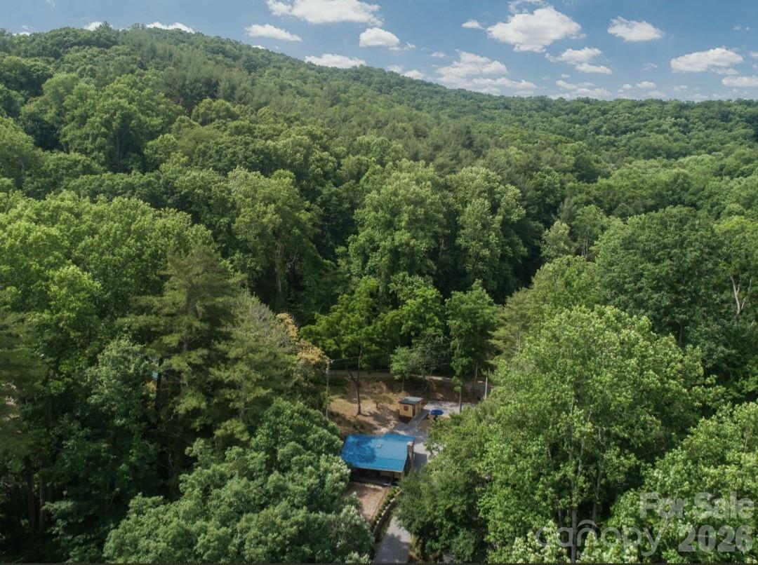 168 Avondale Road — Asheville