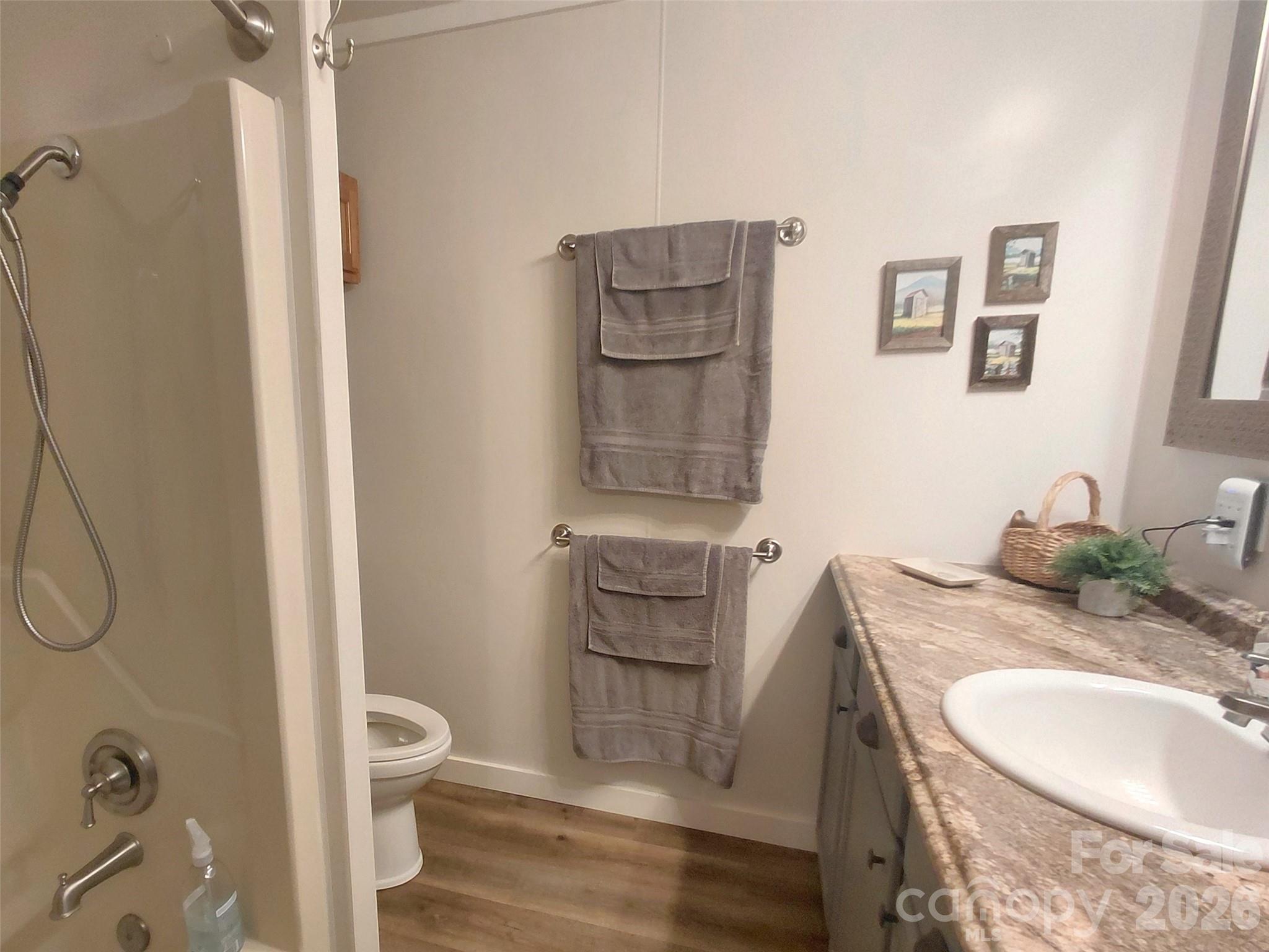 314 Blackberry Lane — Clyde