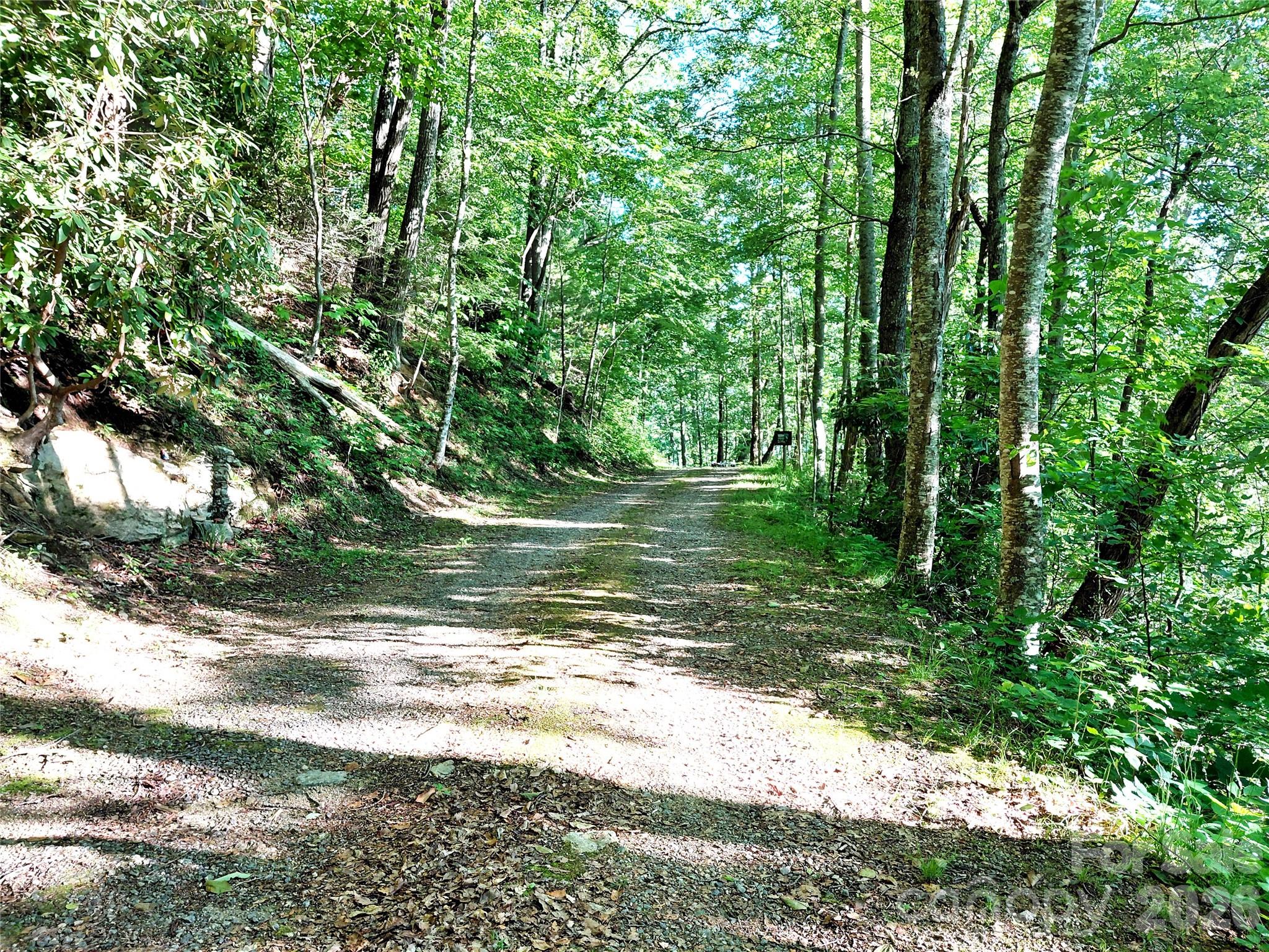 314 Blackberry Lane — Clyde