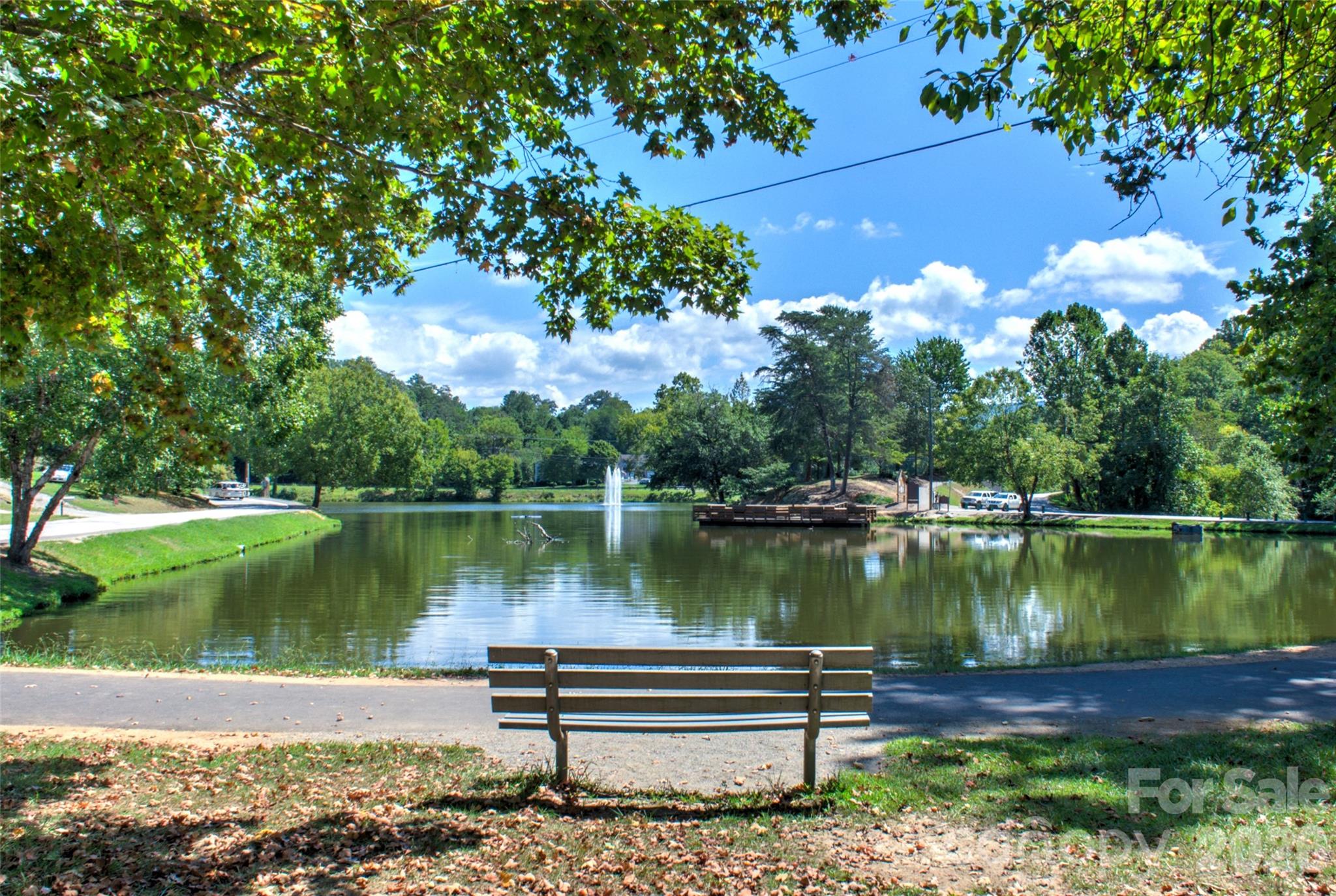 22 Water Pointe Way — Weaverville