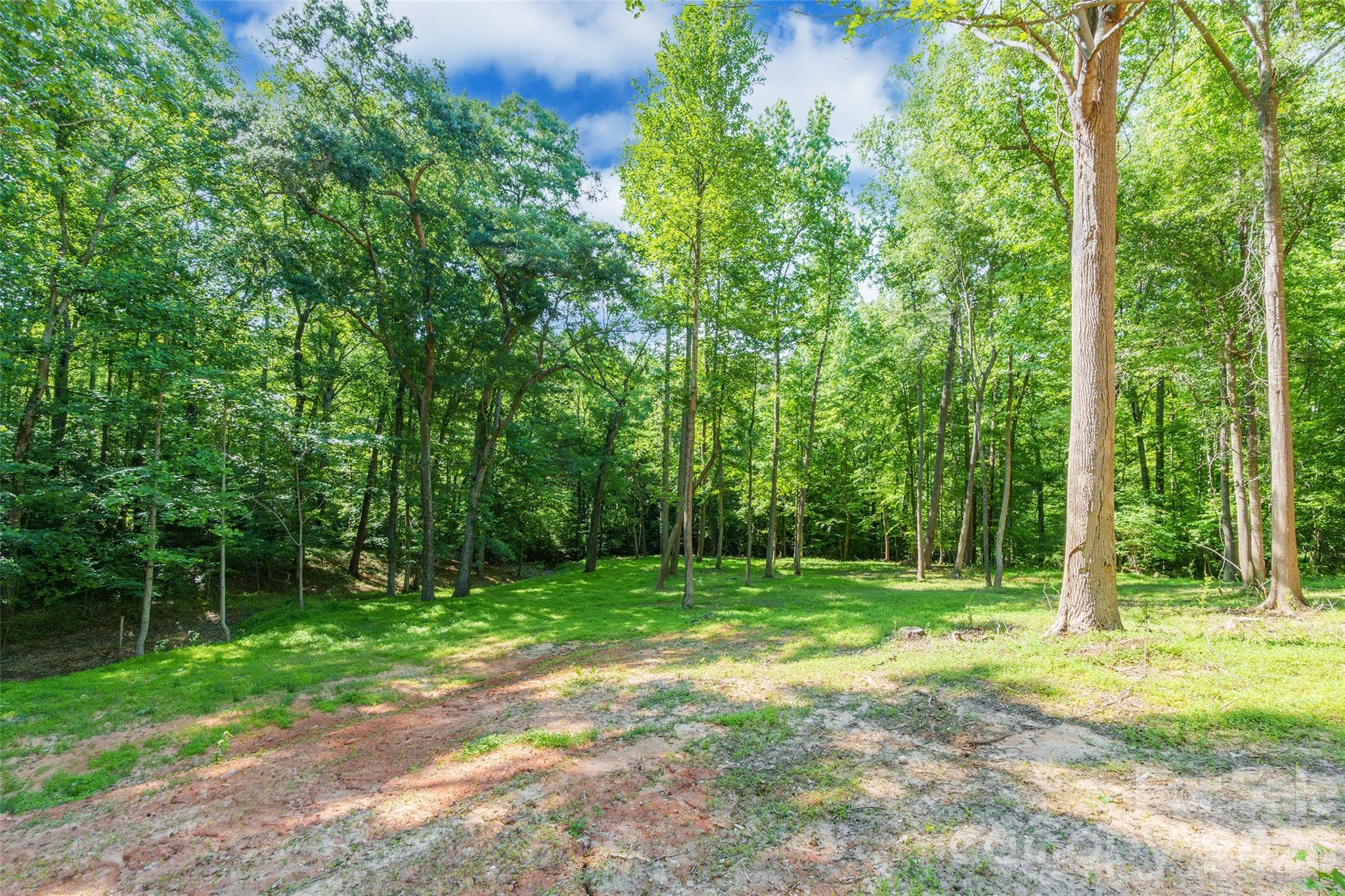 1630 Riddle Road — Clover