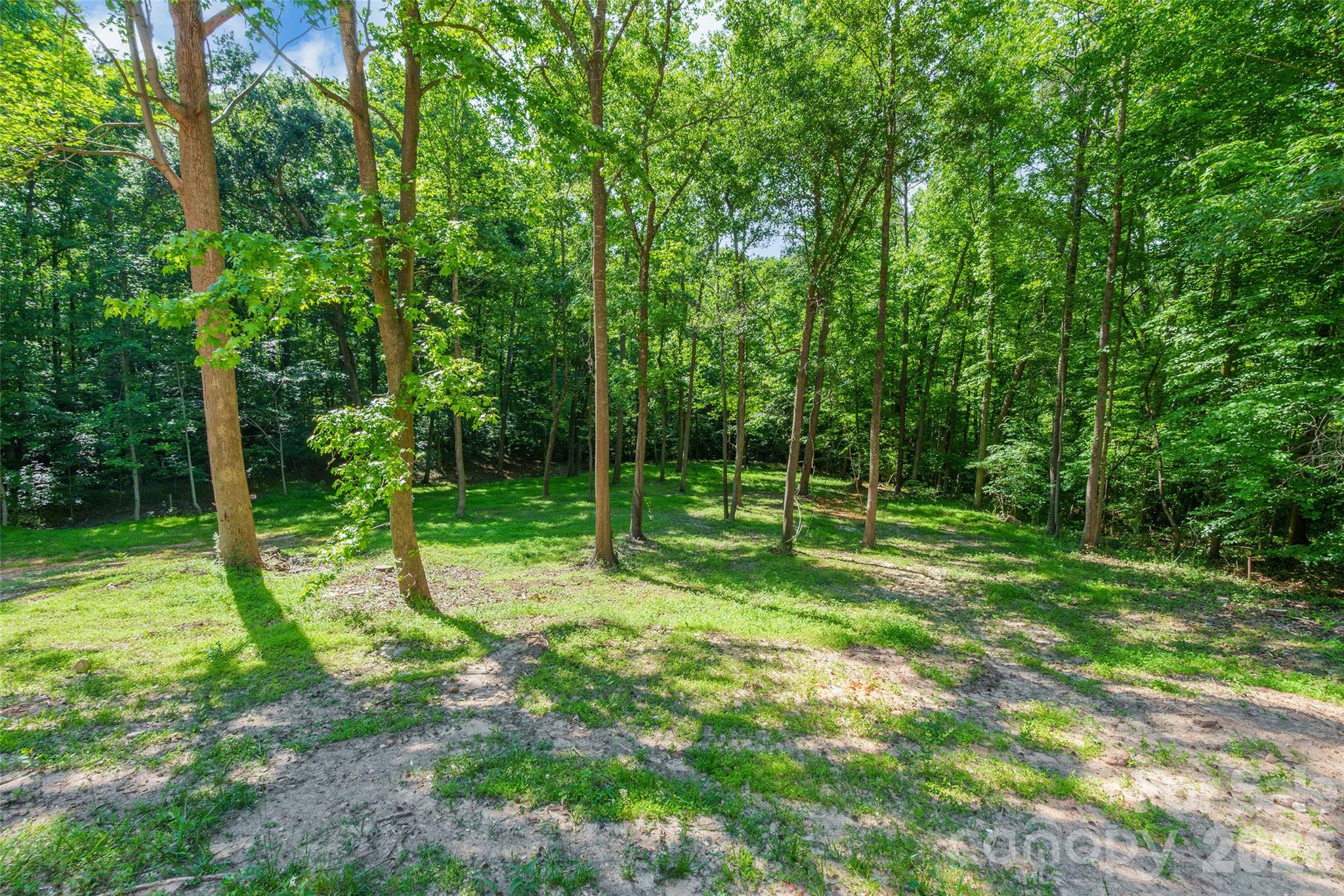1630 Riddle Road — Clover
