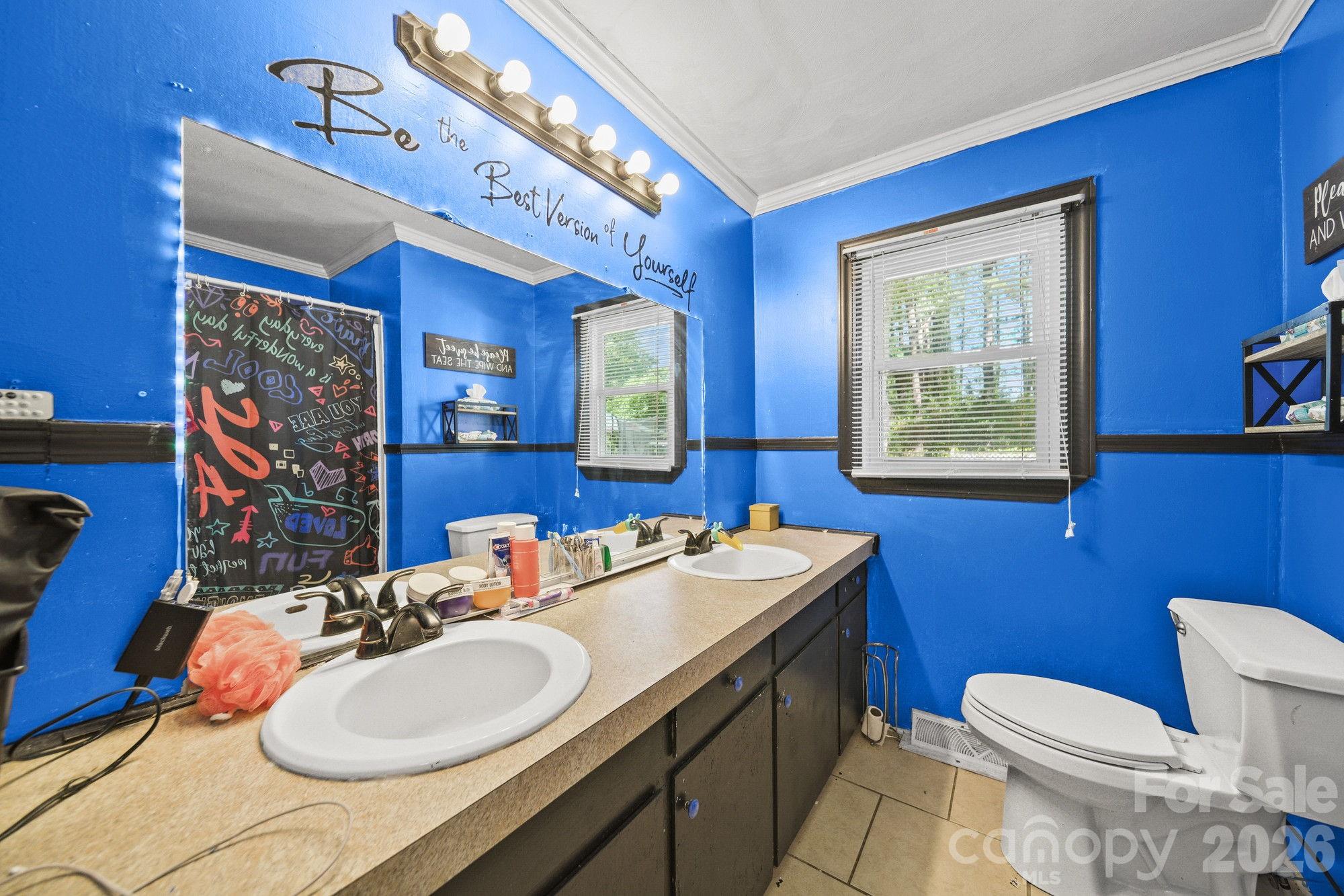 809 Elaine Drive — Albemarle