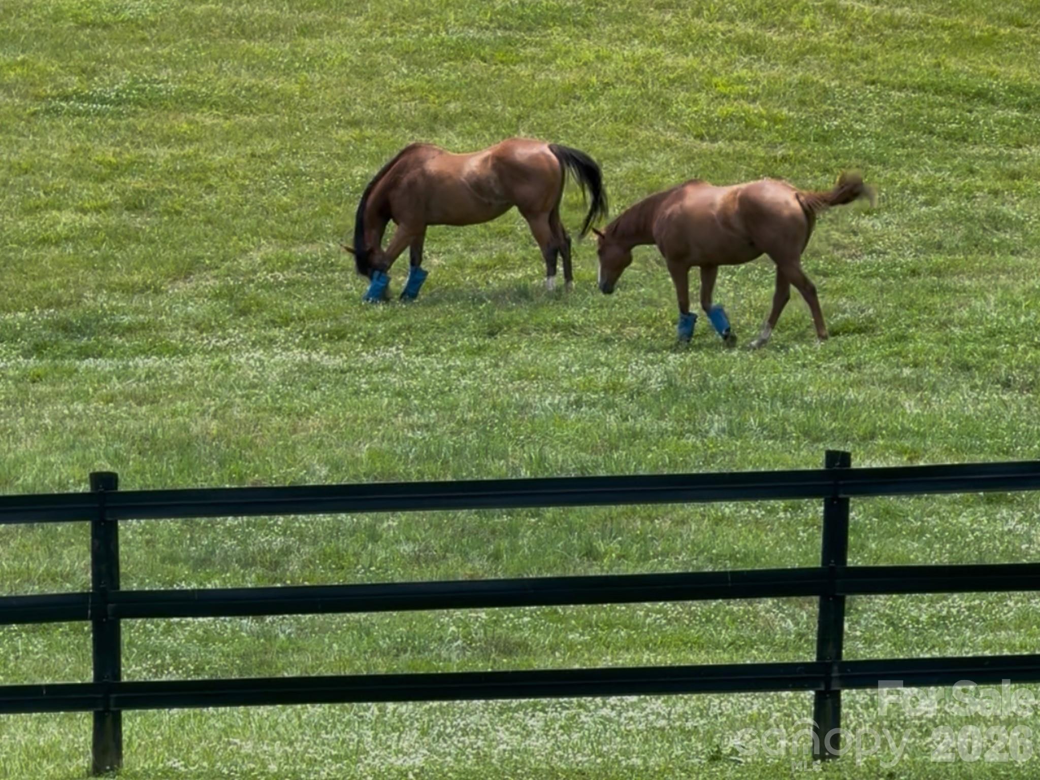 256 Johnson Dairy Road — Mooresville