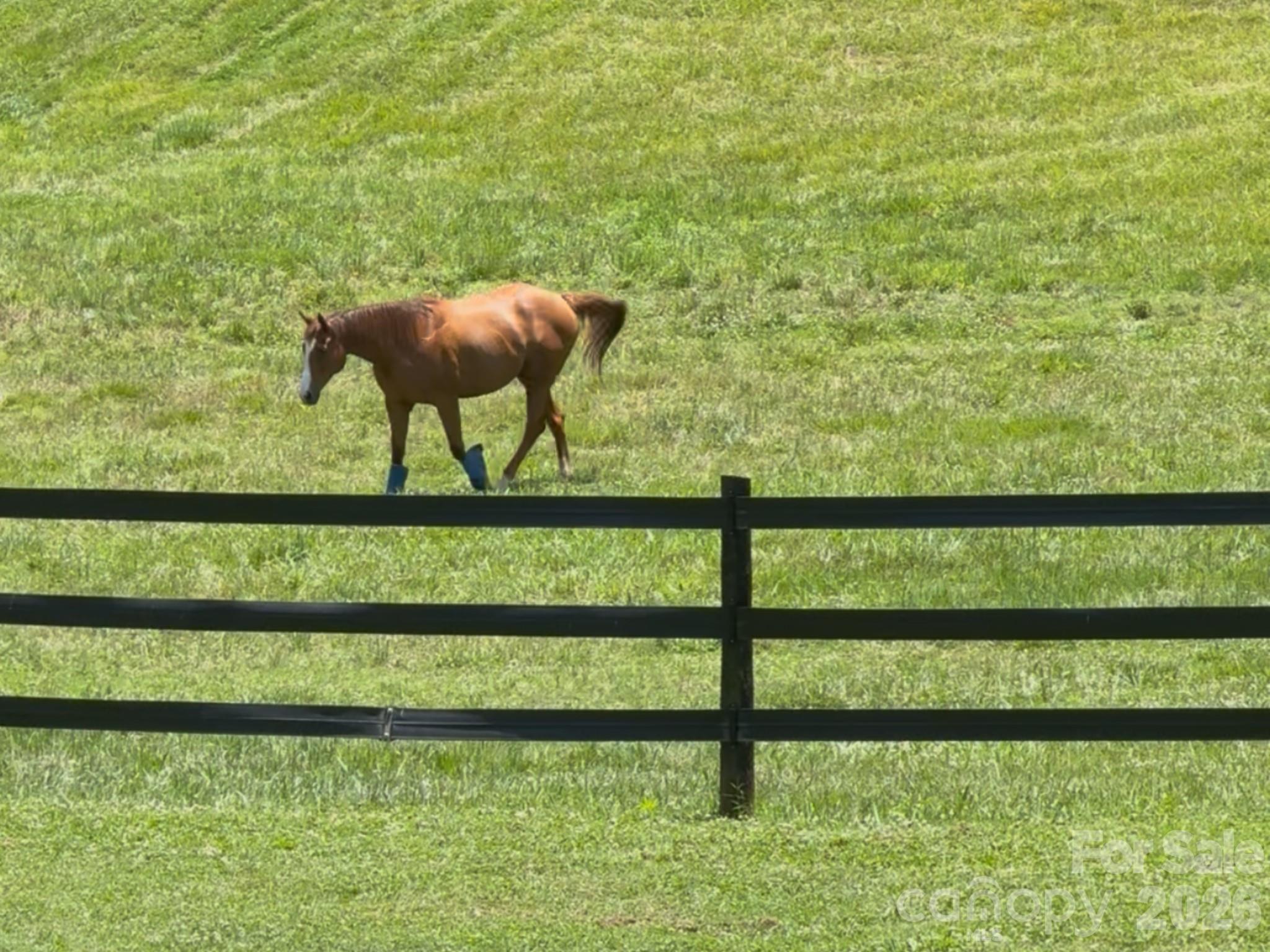 256 Johnson Dairy Road — Mooresville