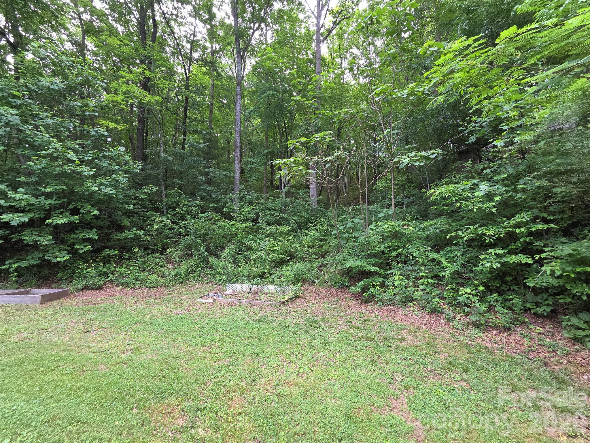 165 Mount Eire Drive — Sylva