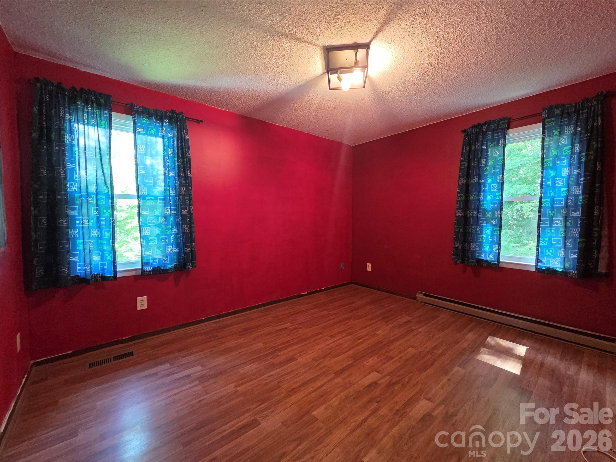165 Mount Eire Drive — Sylva