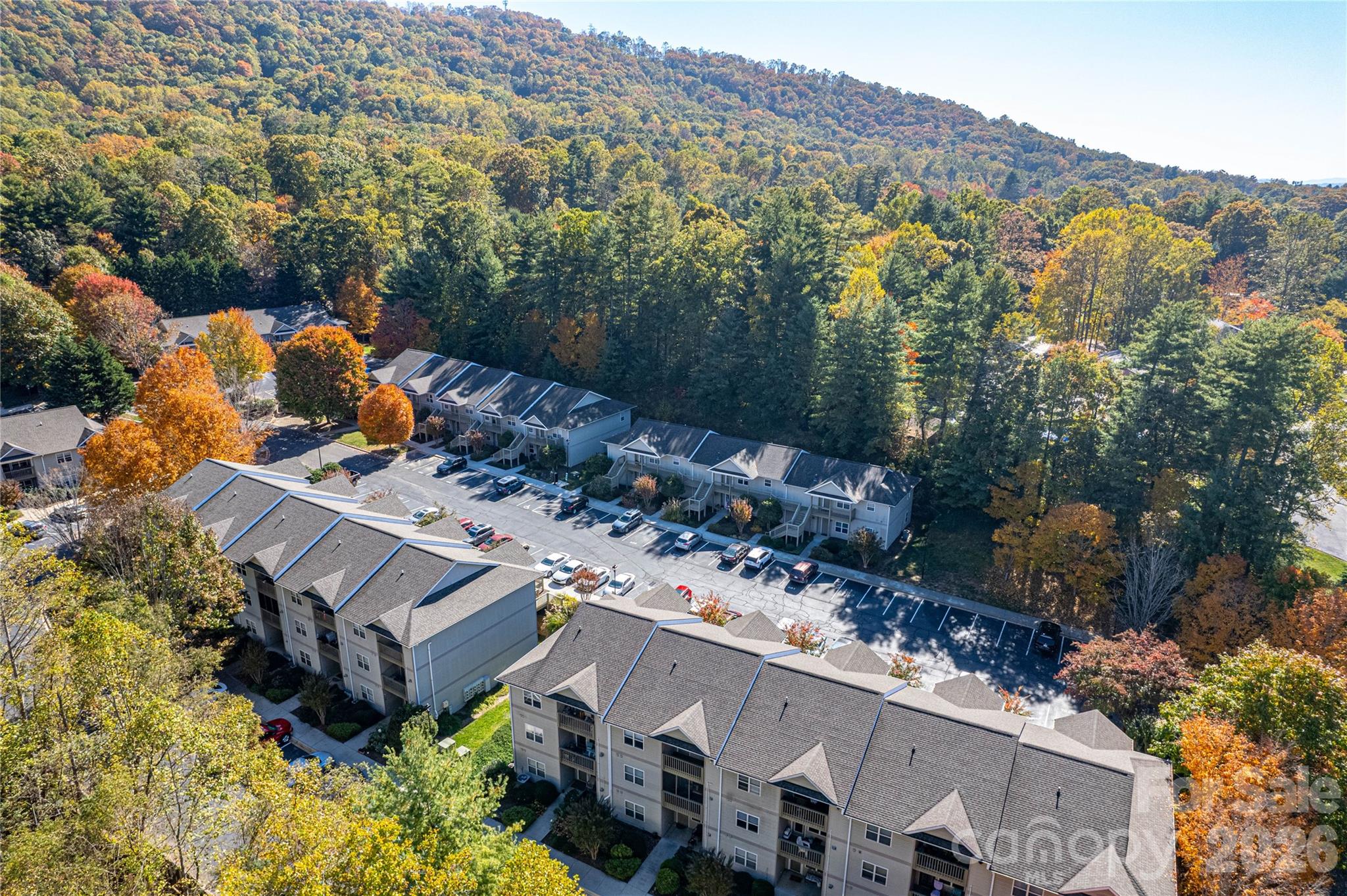 605 Carlyle Way — Asheville