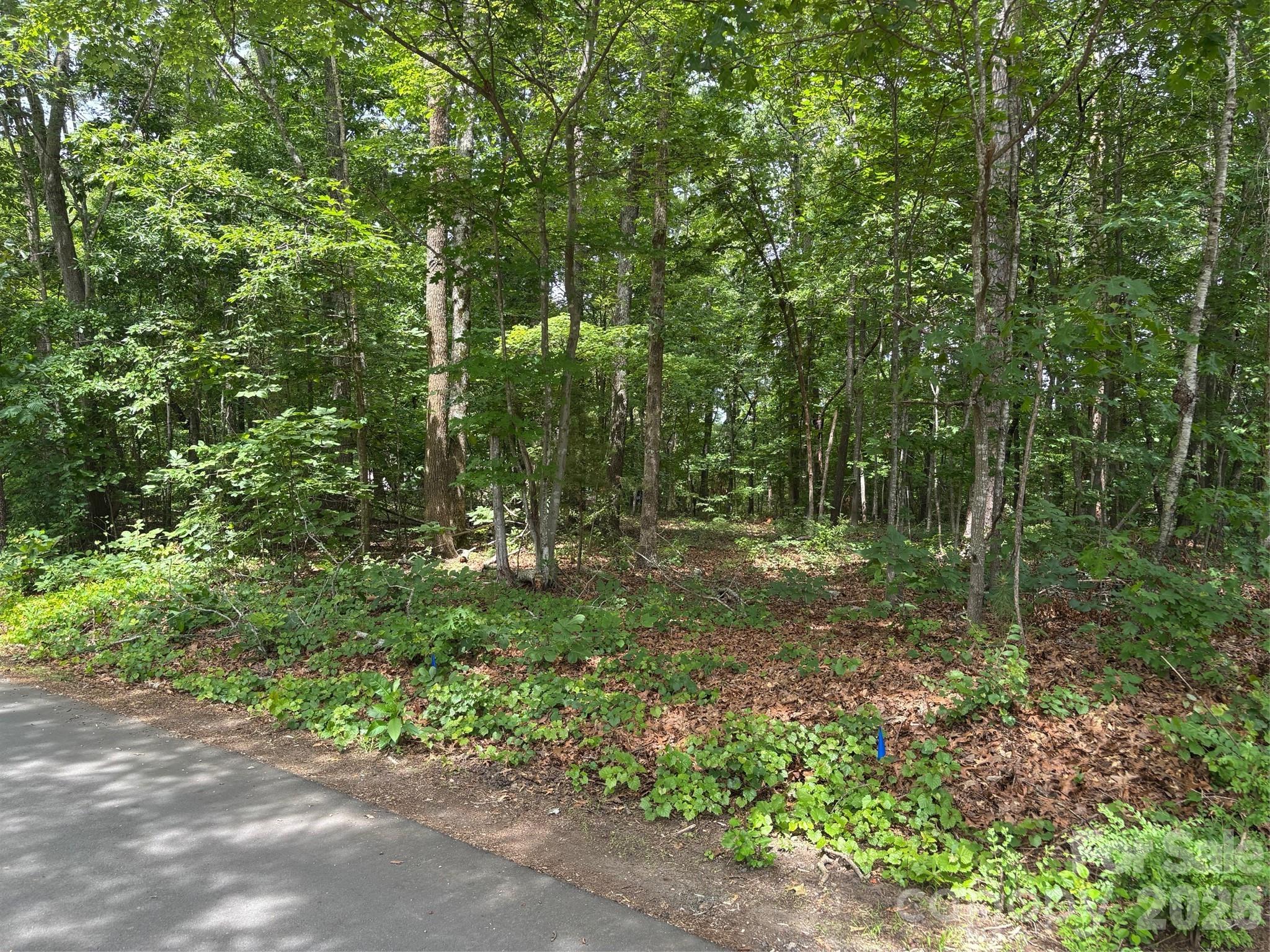 176 Dogwood Trail Lane — Indian Land