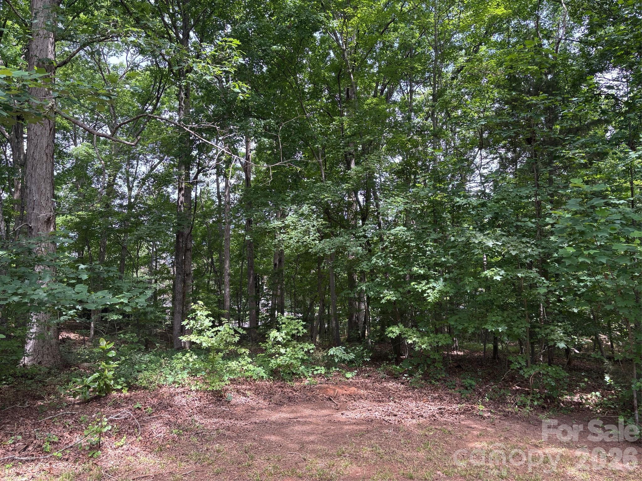 176 Dogwood Trail Lane — Indian Land