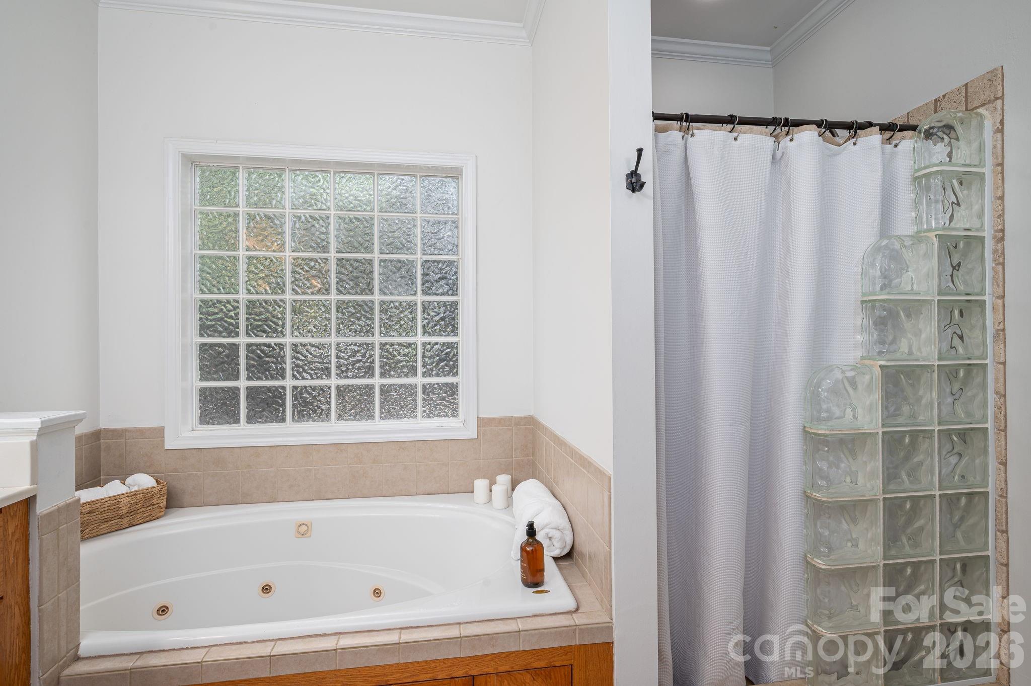 1060 Garibaldi Ridge Court — Belmont