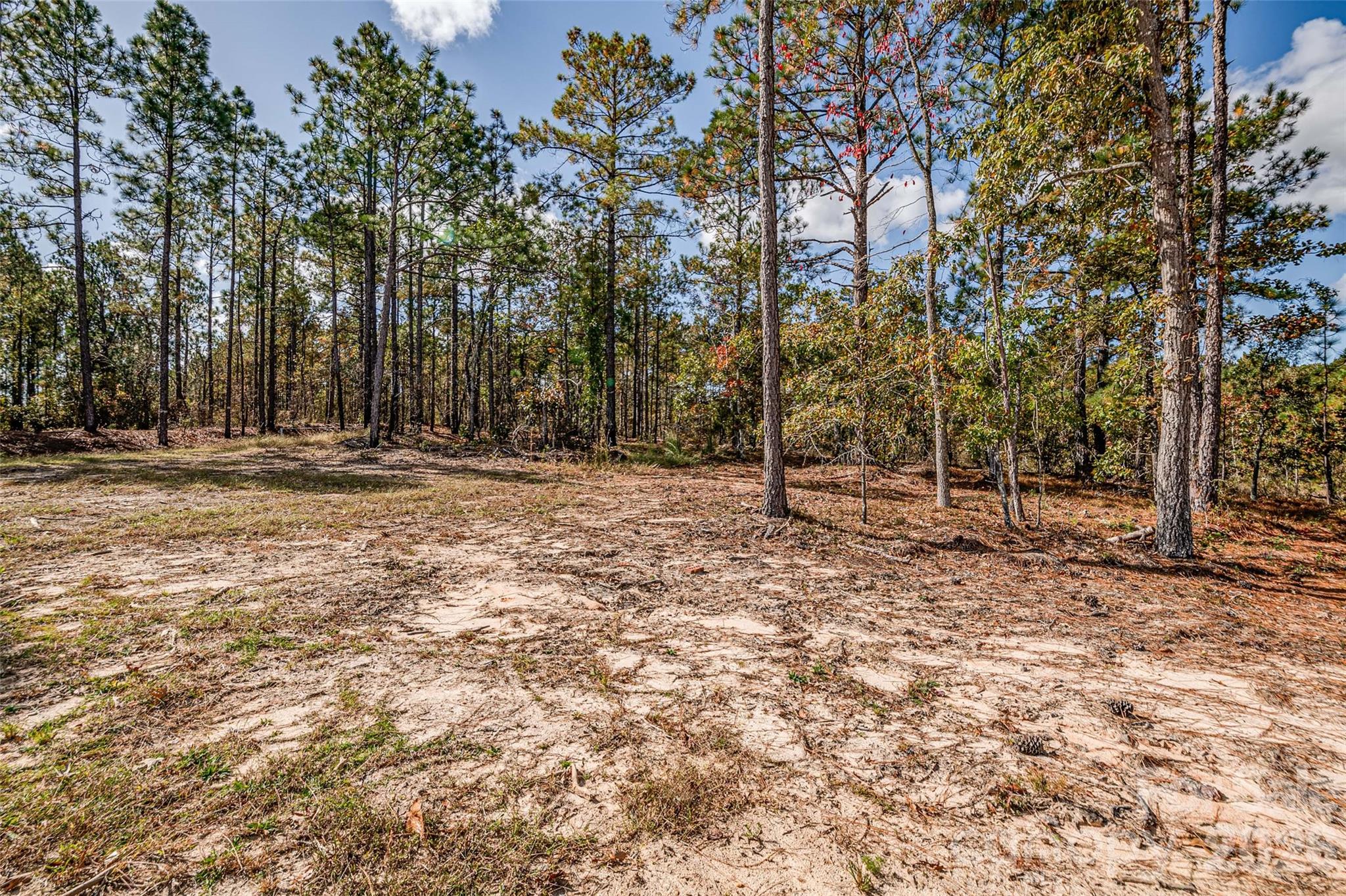8684 Teals Mill Road — Cheraw