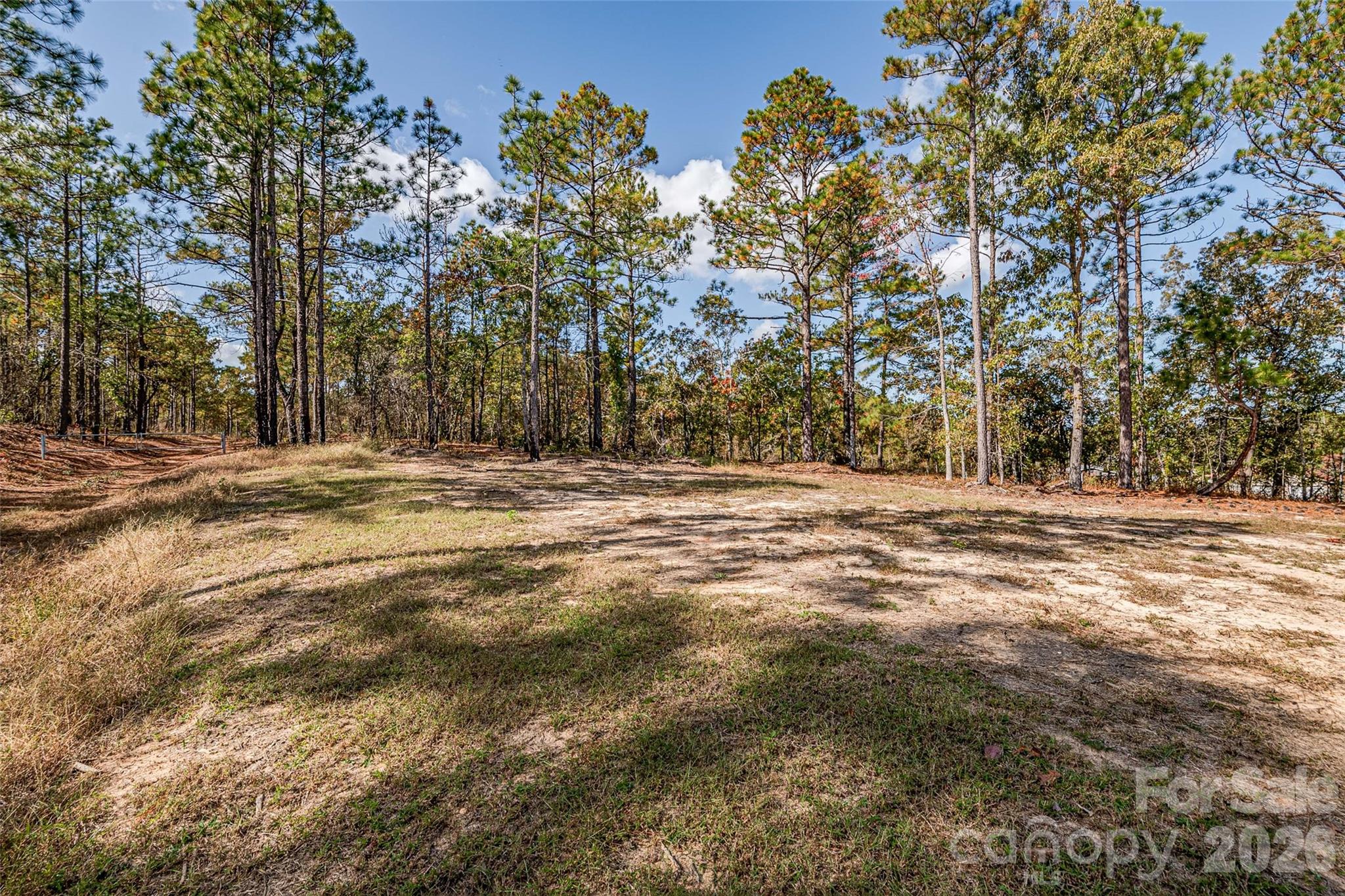 8684 Teals Mill Road — Cheraw