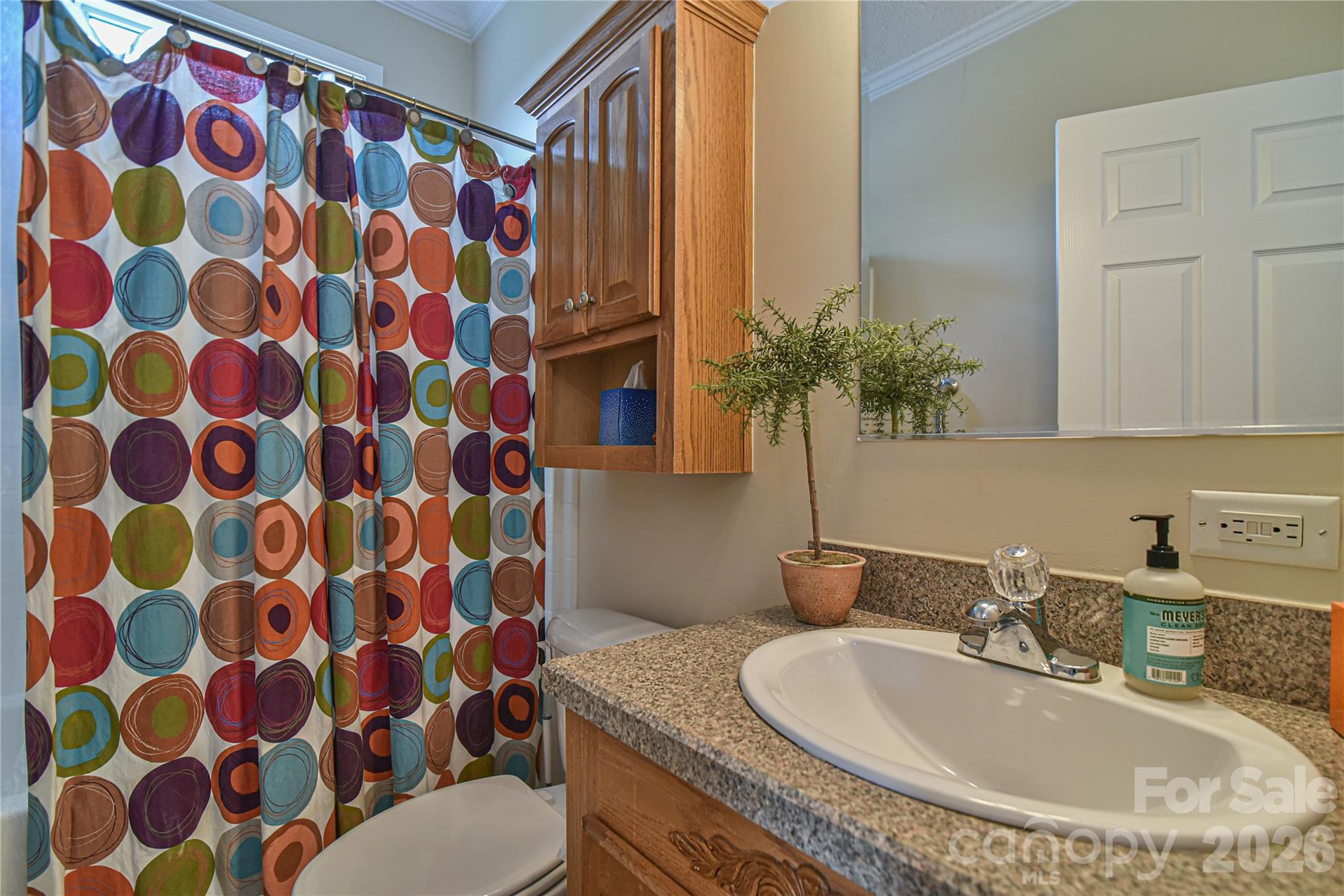 222 Erwin Hills Road — Asheville