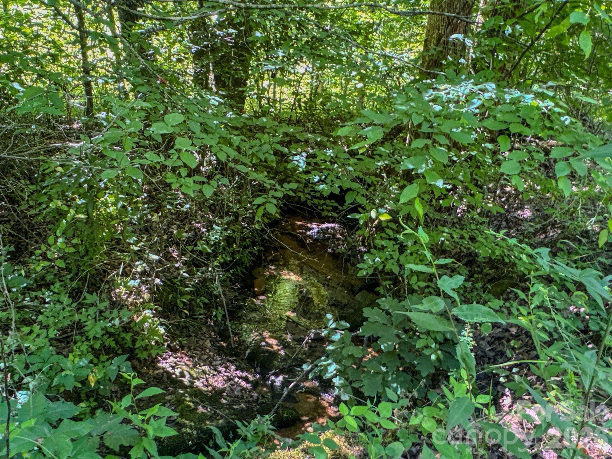 306 Golden Valley Road — Casar