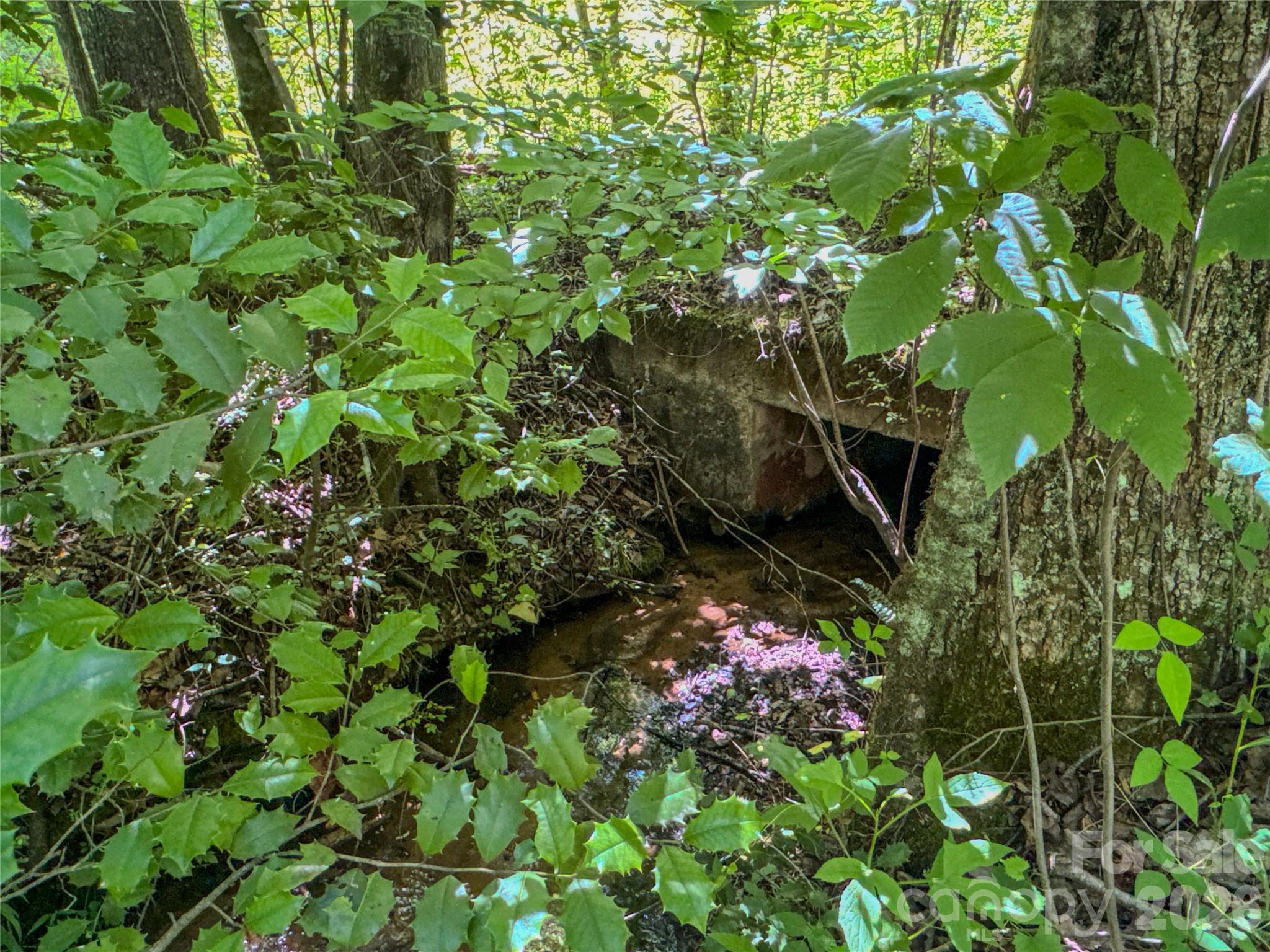 306 Golden Valley Road — Casar