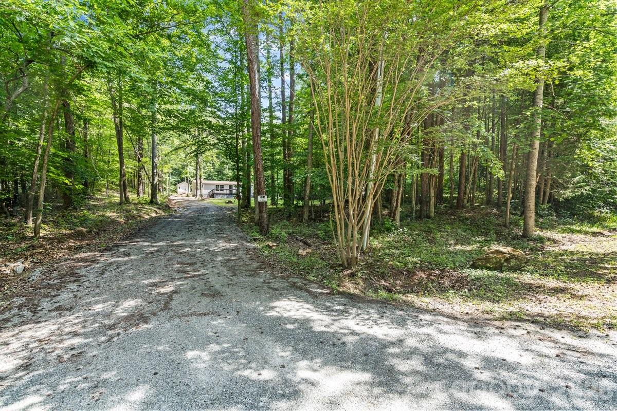 5223 Antler Drive — Iron Station