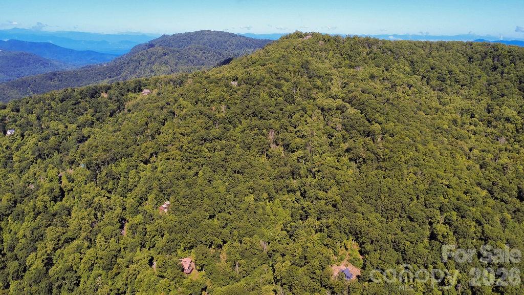 338 Fairview Forest Drive — Fairview