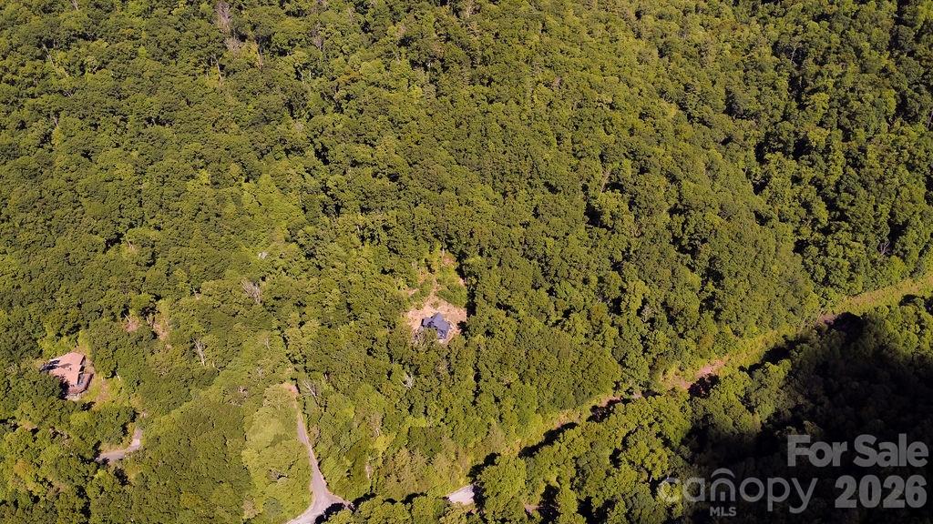 338 Fairview Forest Drive — Fairview