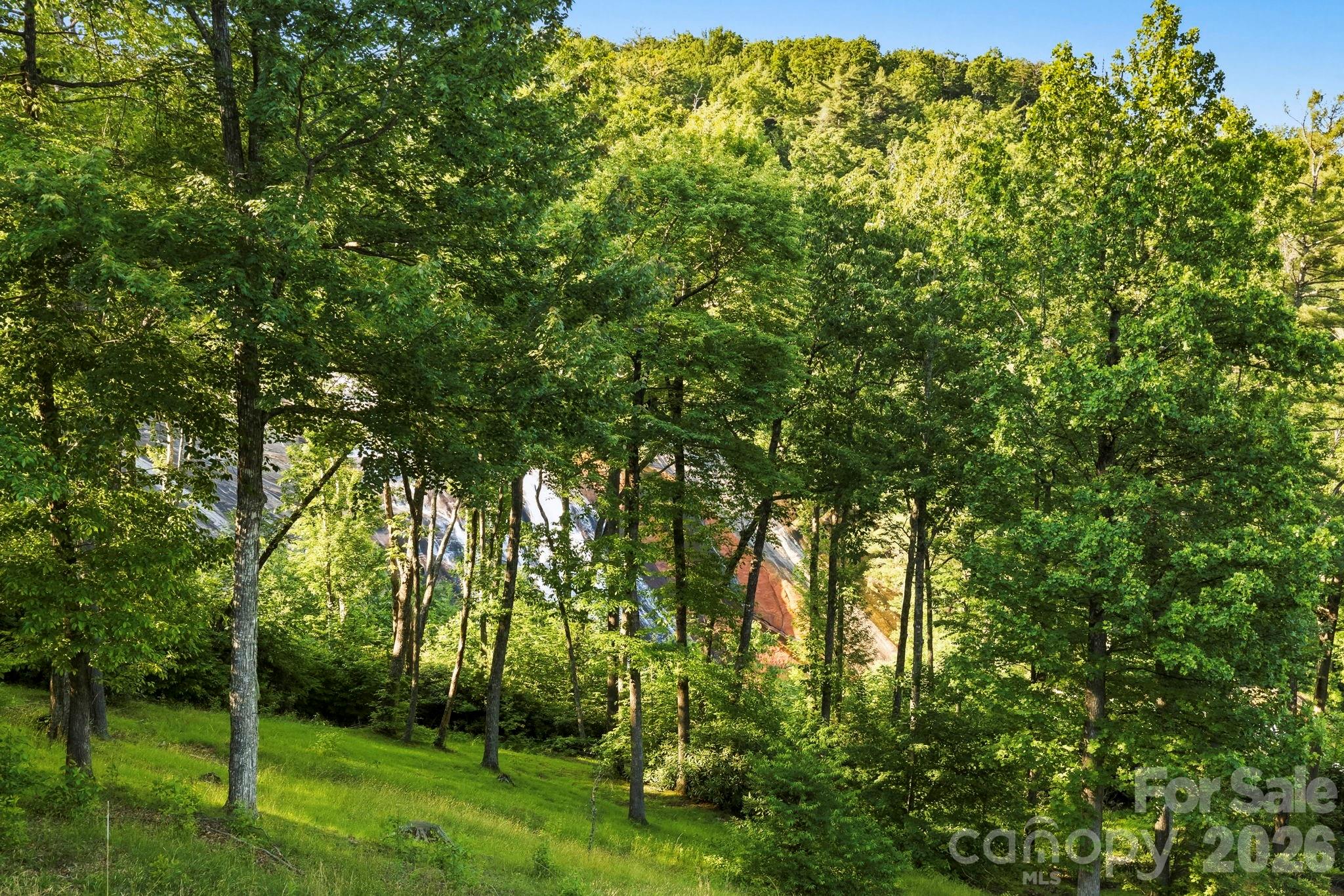30 Lower Tanglewood Road E #2 — Lake Toxaway