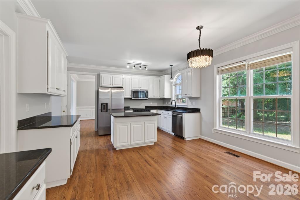 11005 Chilcomb Court — Charlotte
