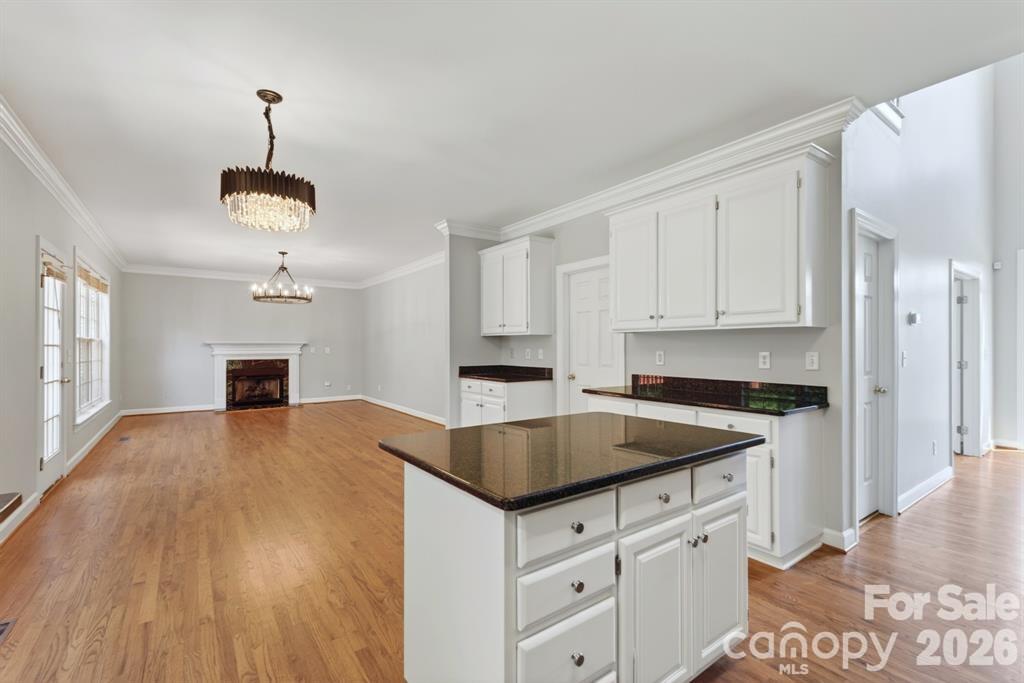 11005 Chilcomb Court — Charlotte