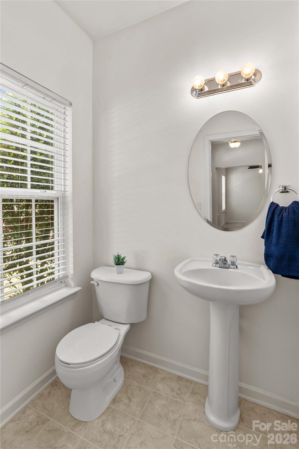 11148 Heritage Green Drive — Cornelius