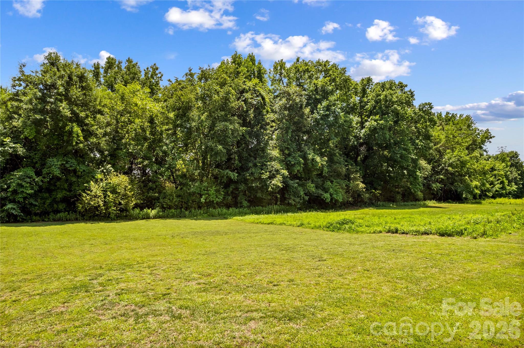 11148 Heritage Green Drive — Cornelius