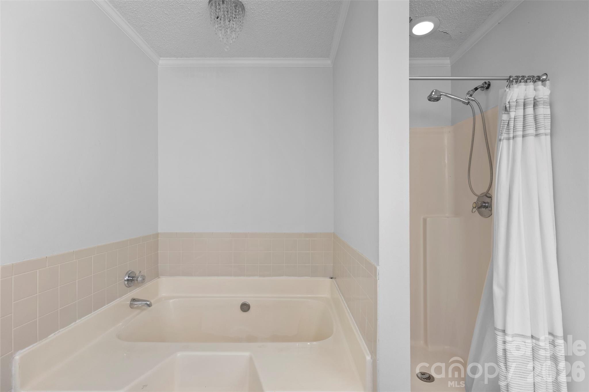 8704 Hornwood Court — Charlotte