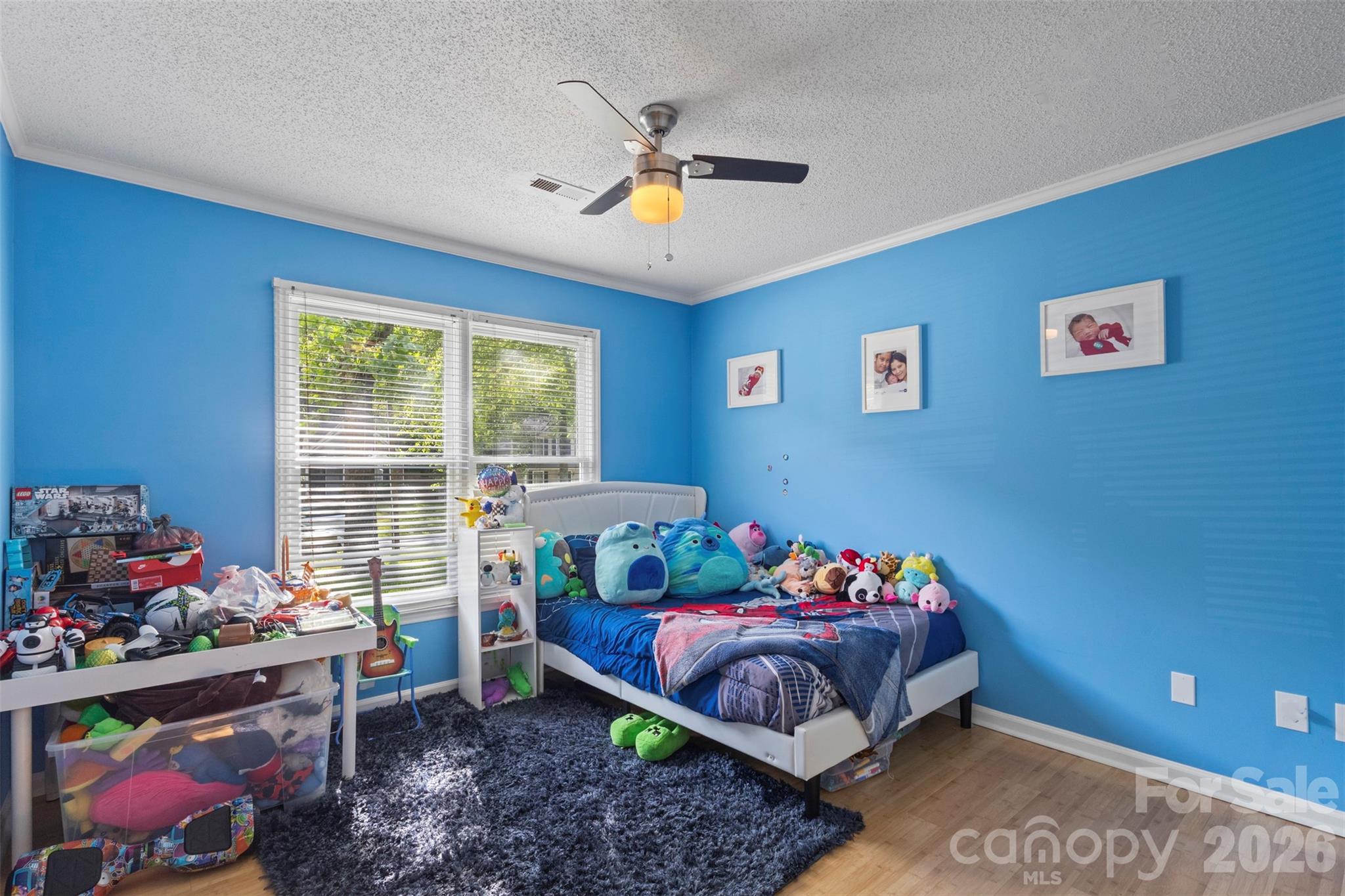 8704 Hornwood Court — Charlotte