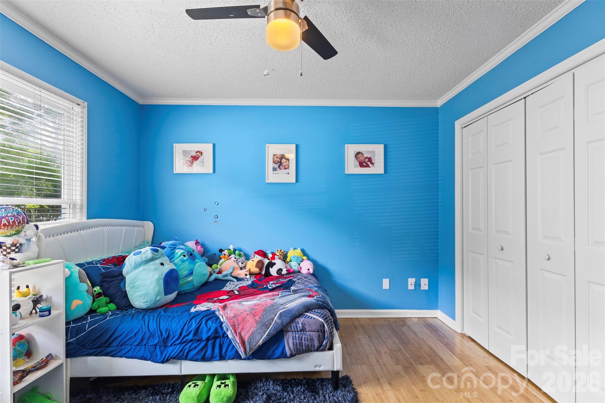 8704 Hornwood Court — Charlotte