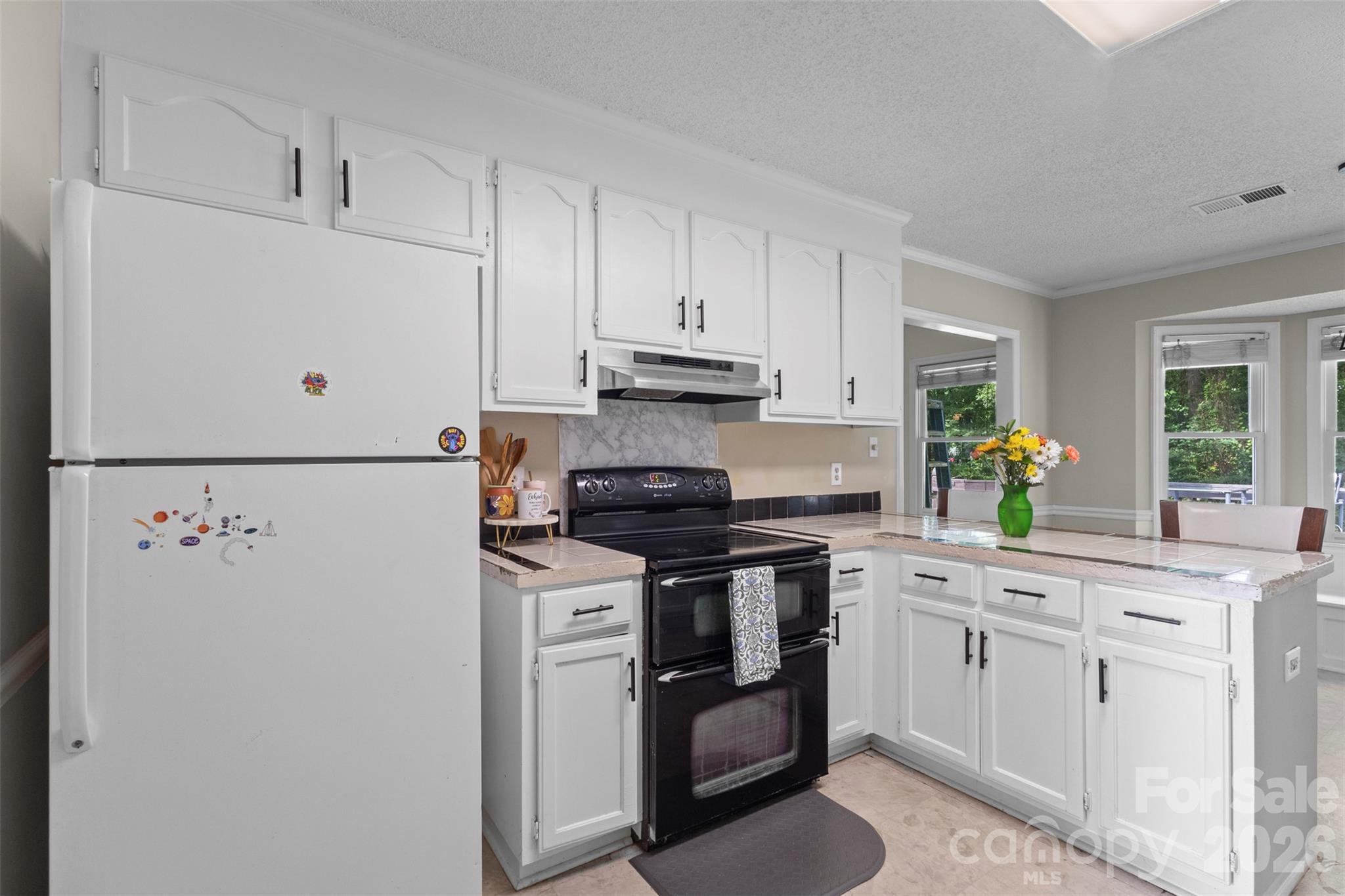 8704 Hornwood Court — Charlotte