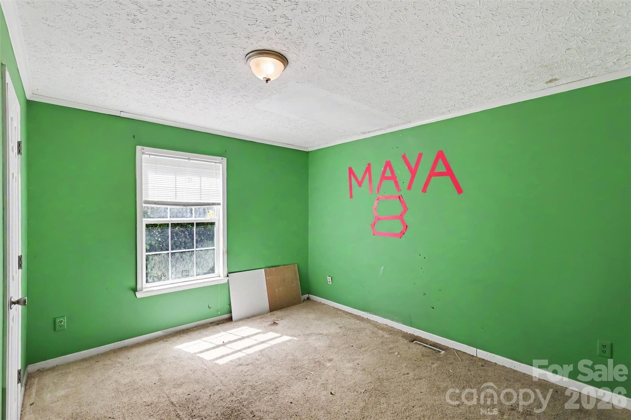 202 Joe Louis Street — Fort Mill