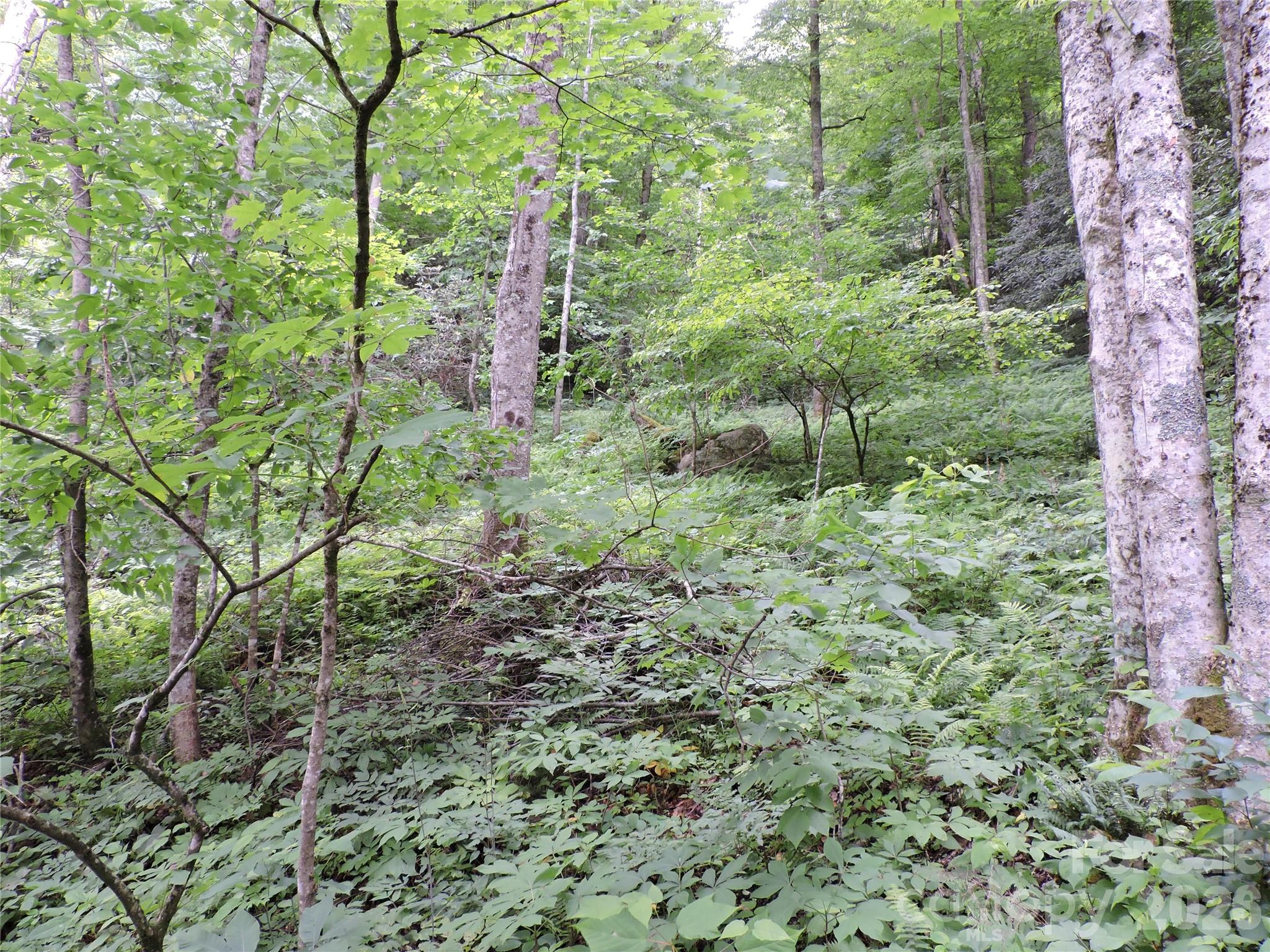963 Melton Branch Road — Bakersville