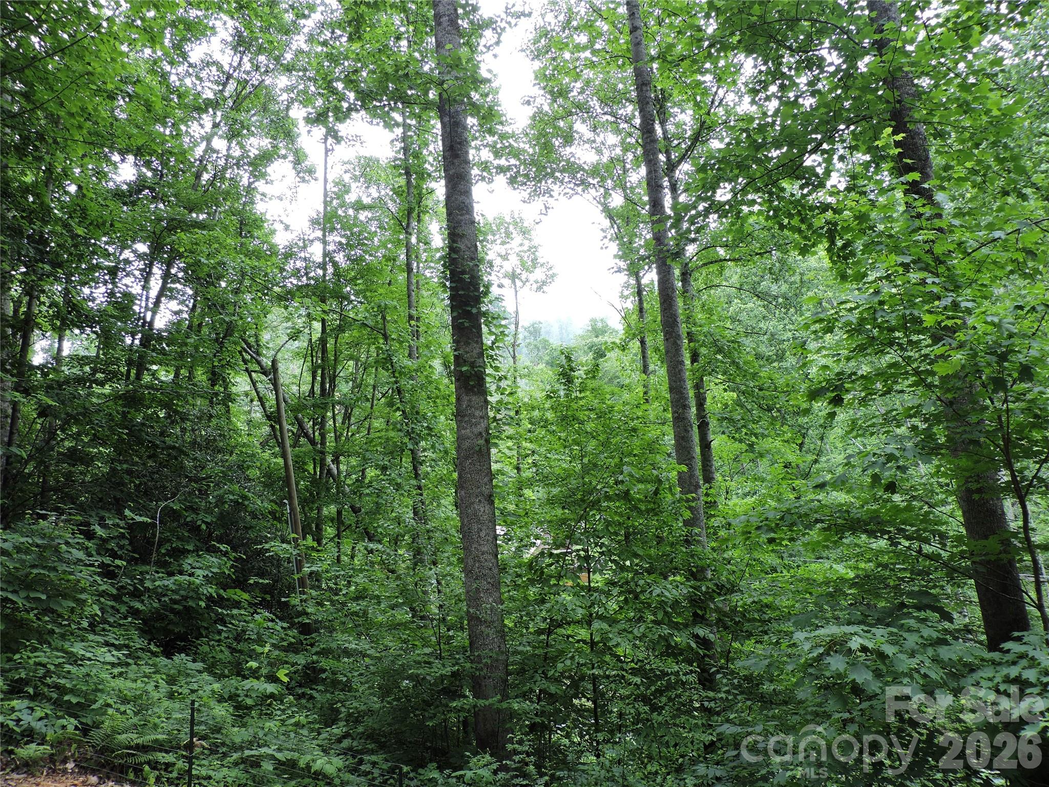 963 Melton Branch Road — Bakersville
