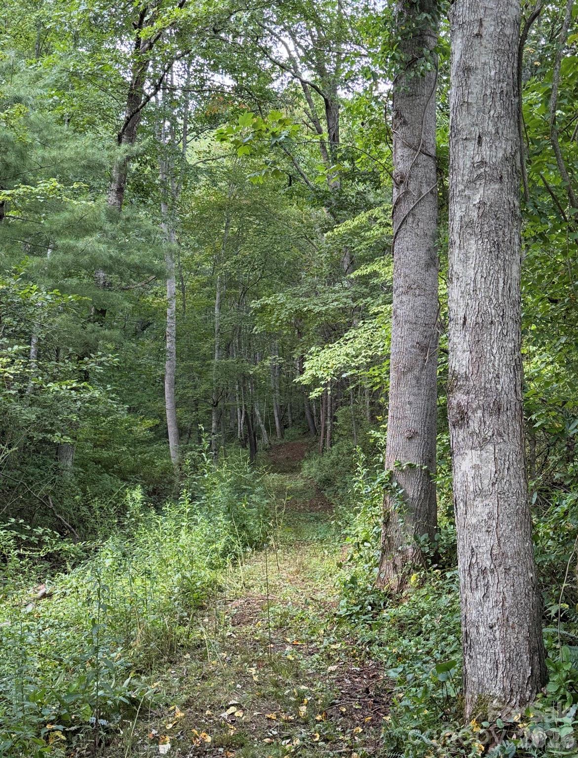132 Hurd Road — Canton