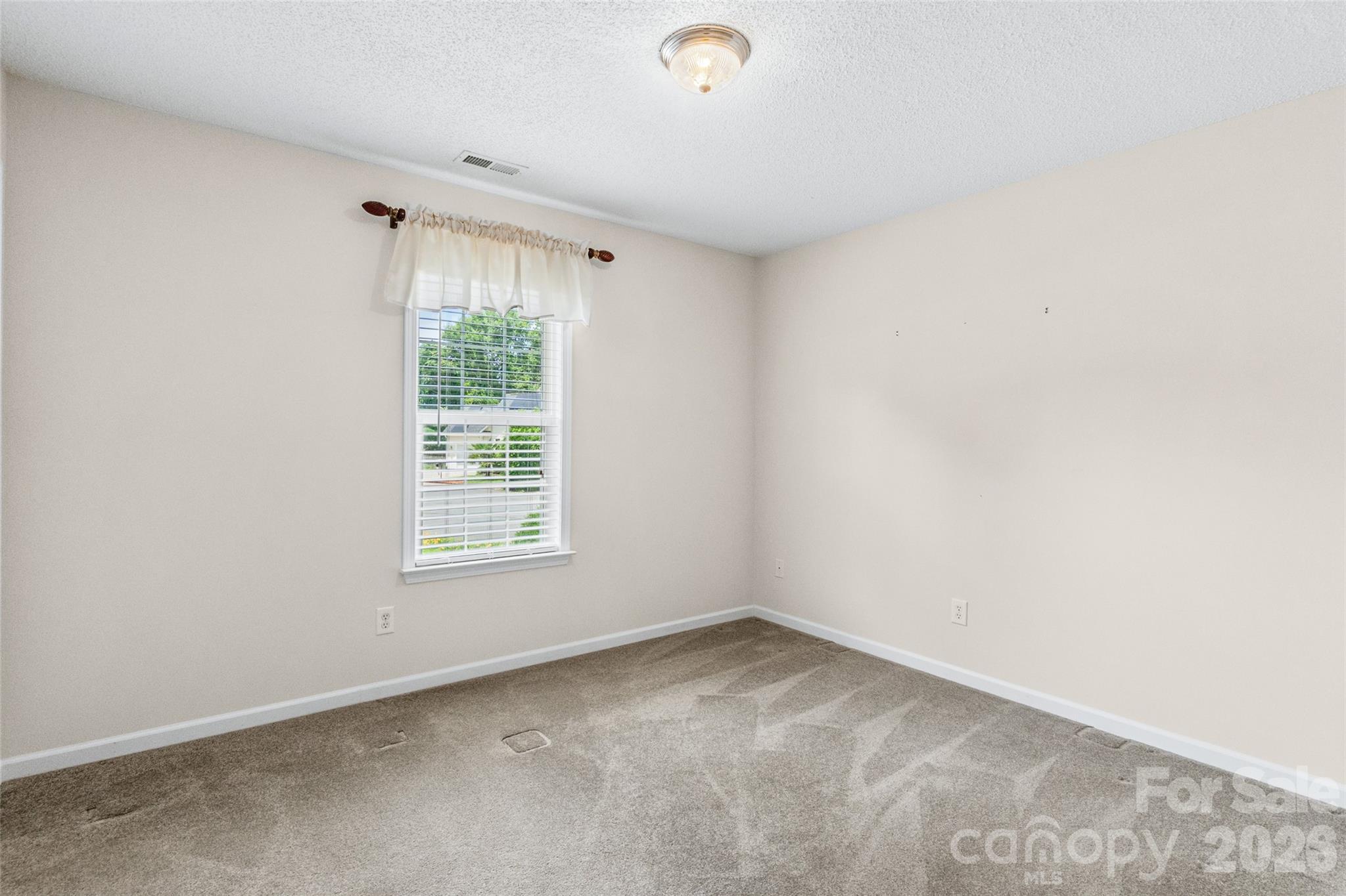 1190 Allison Bluff Trail — Rock Hill