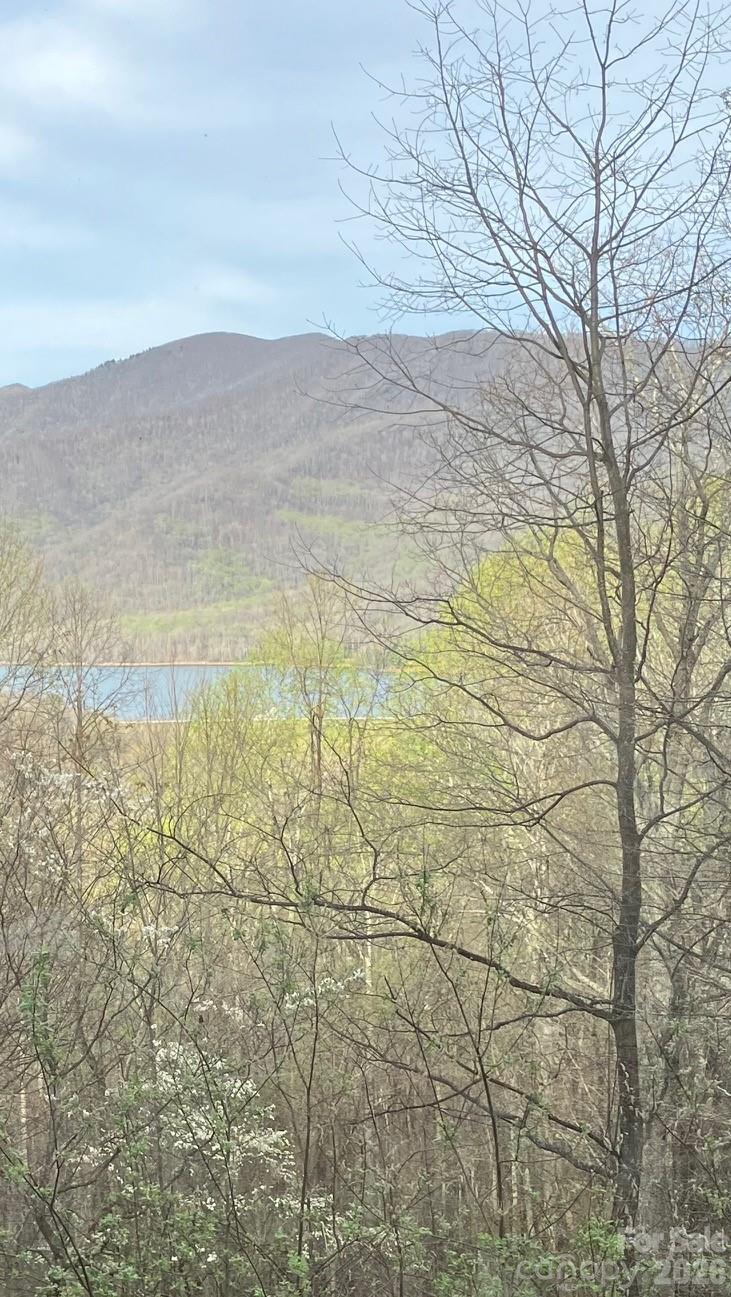 22 Great Aspen Way — Black Mountain