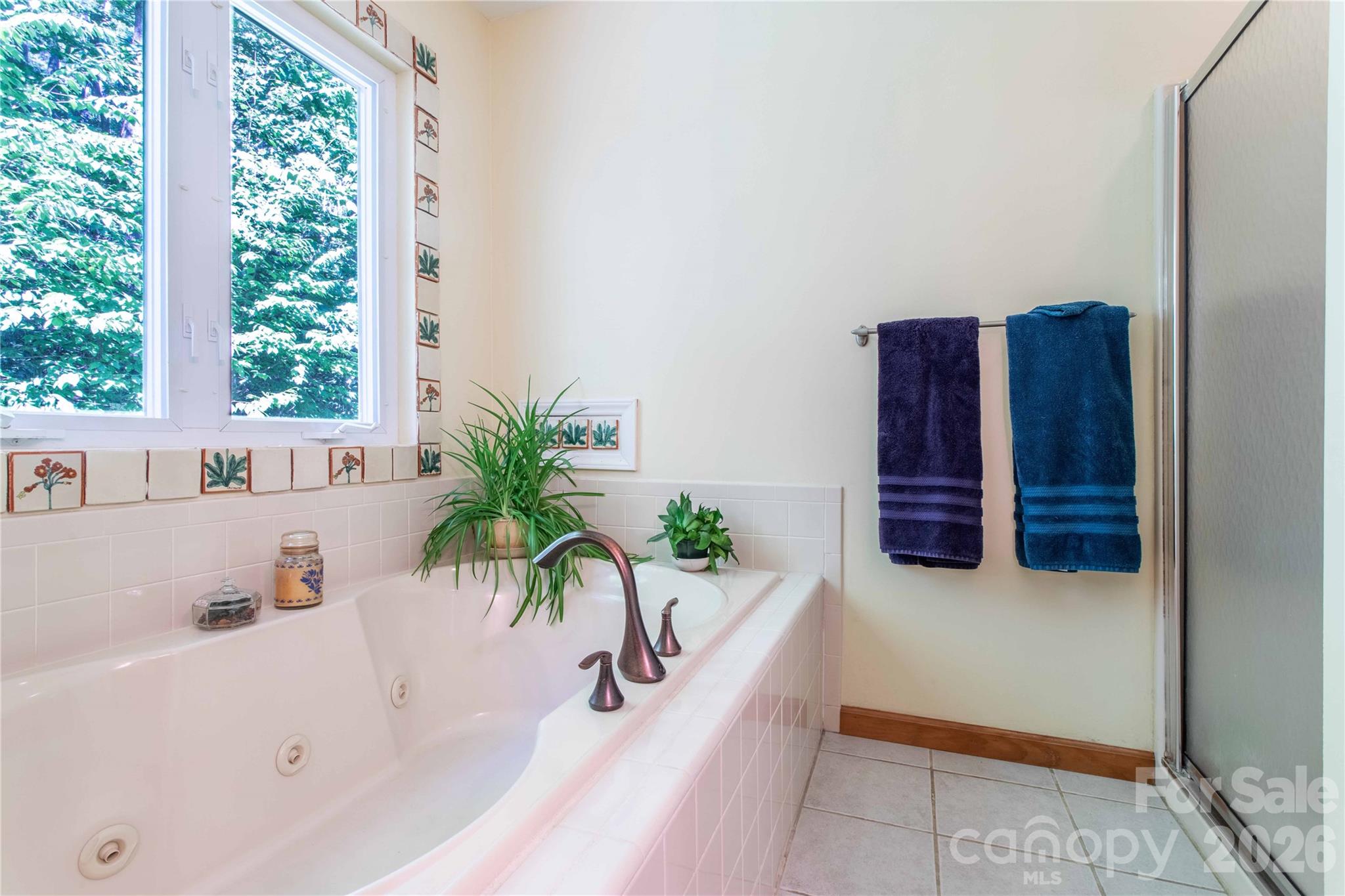 22 Great Aspen Way — Black Mountain