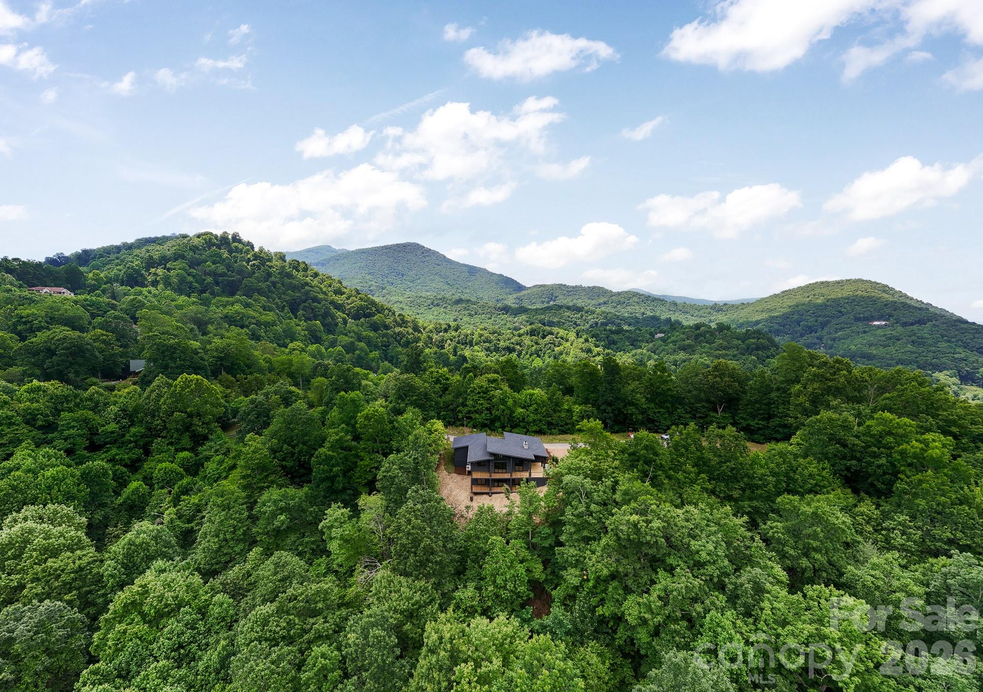 60 King Horn Ridge — Waynesville