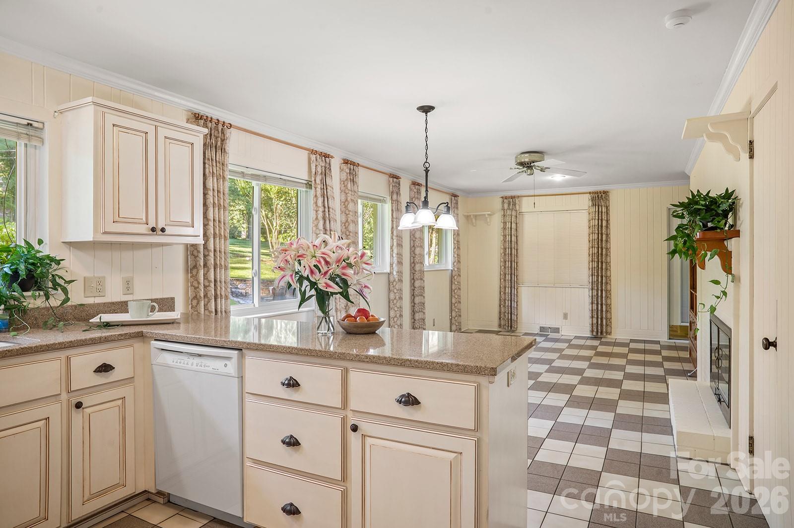 1235 Ashby Lane — Hendersonville