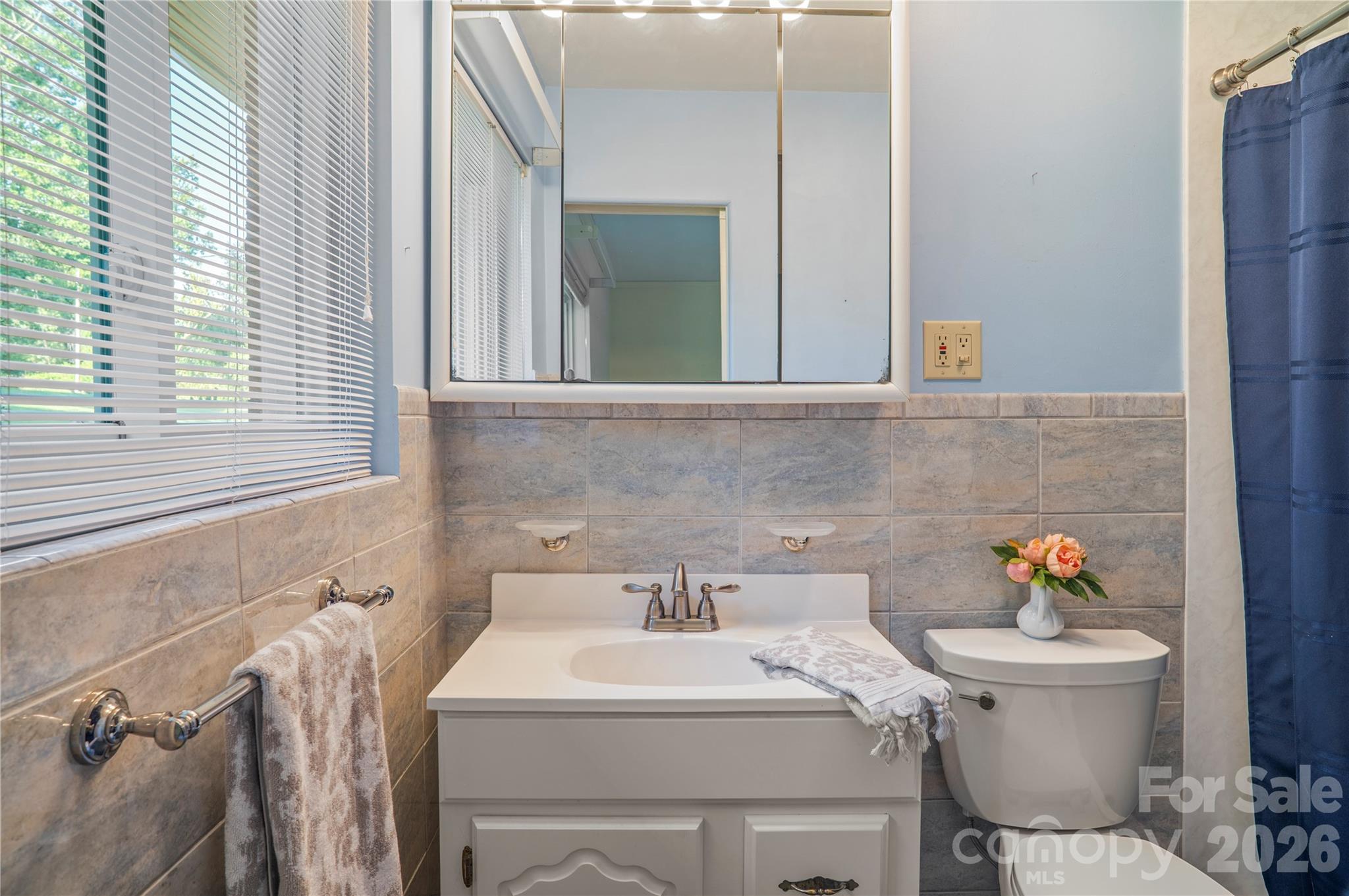 1235 Ashby Lane — Hendersonville