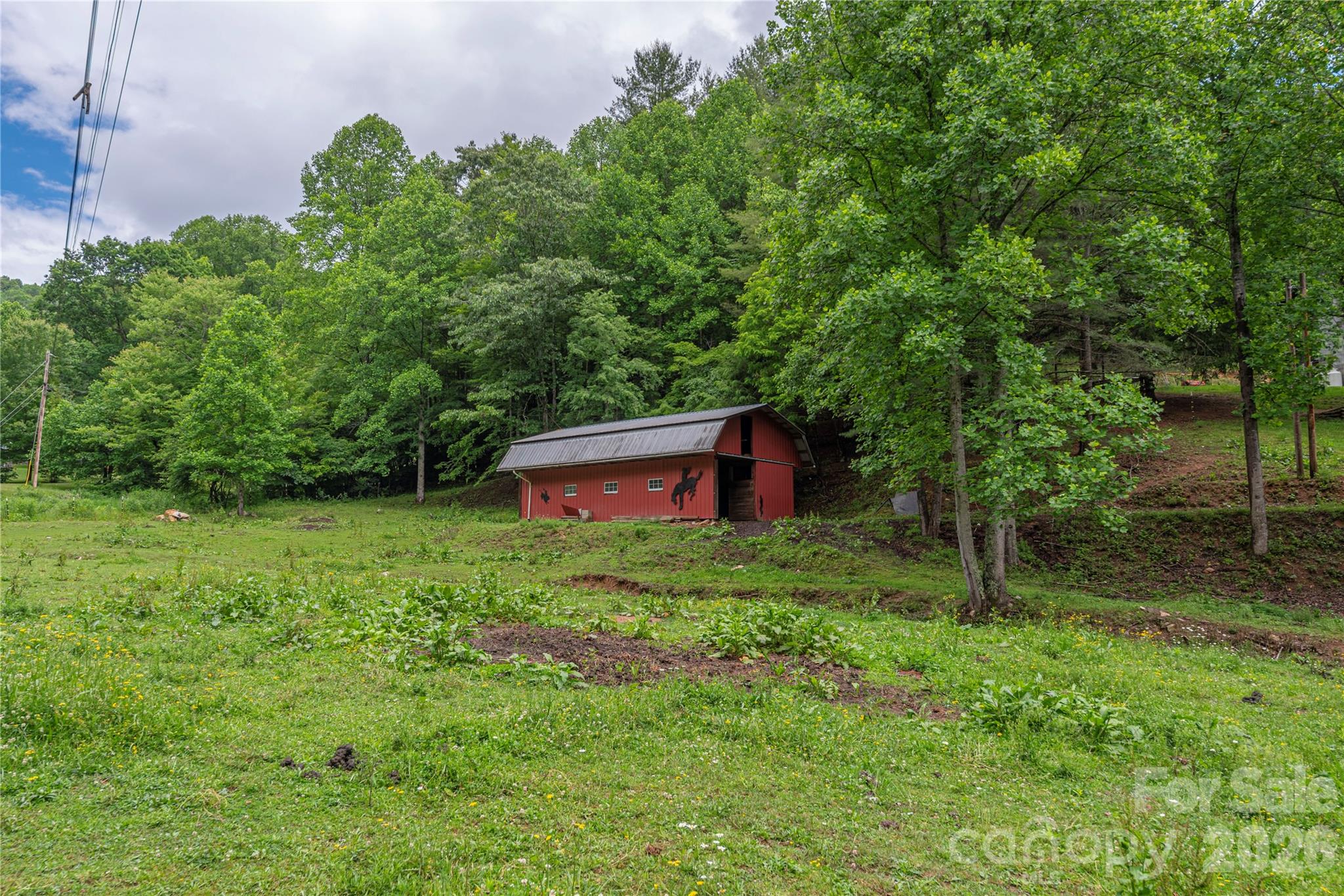 262 Gibson Branch Road — Clyde