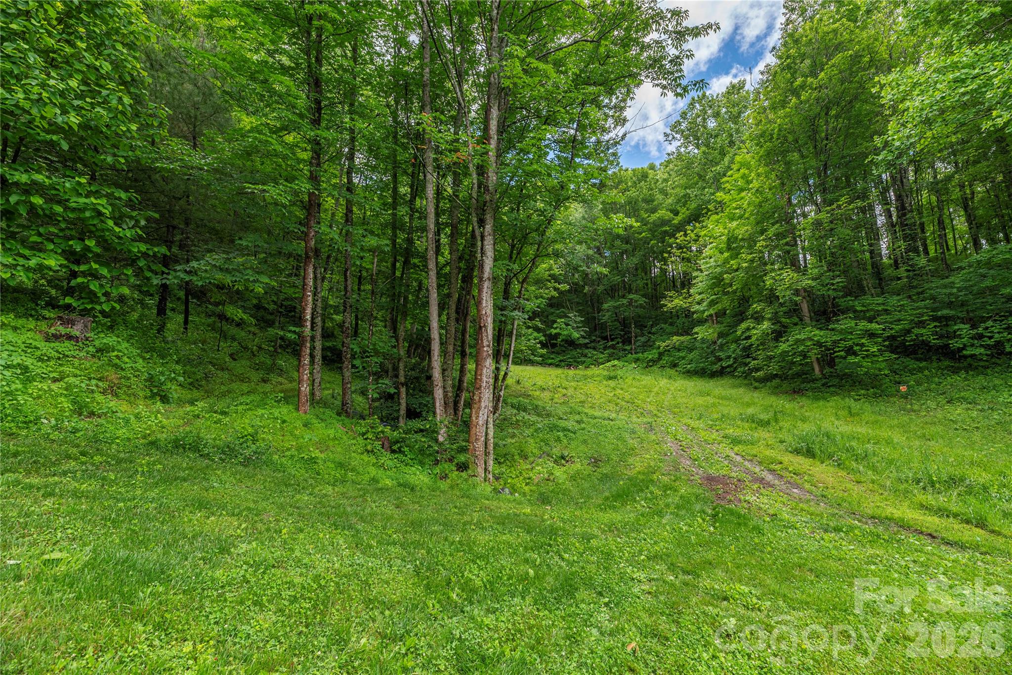 262 Gibson Branch Road — Clyde