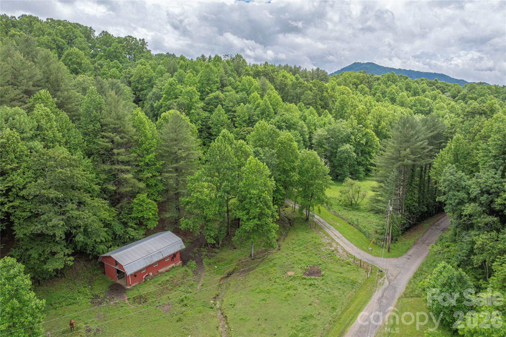 262 Gibson Branch Road — Clyde