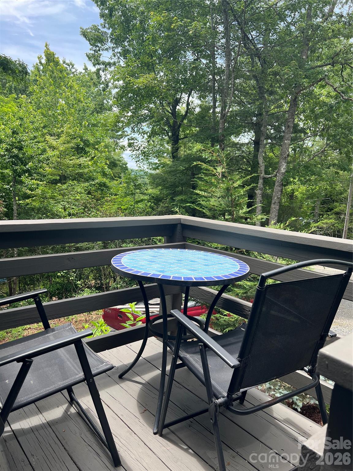384 Bear Cub Drive — Spruce Pine