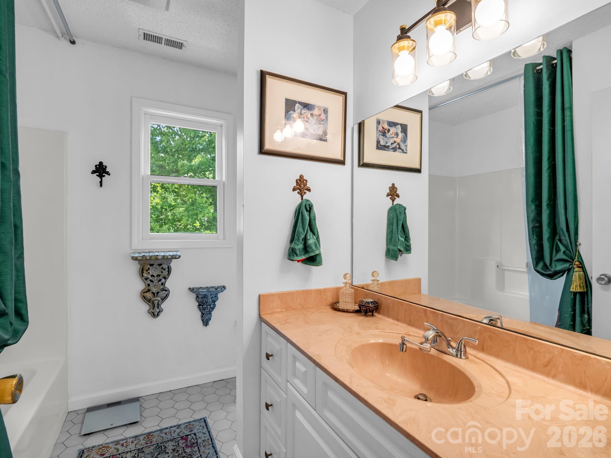 8 Sunny Ridge Drive — Asheville