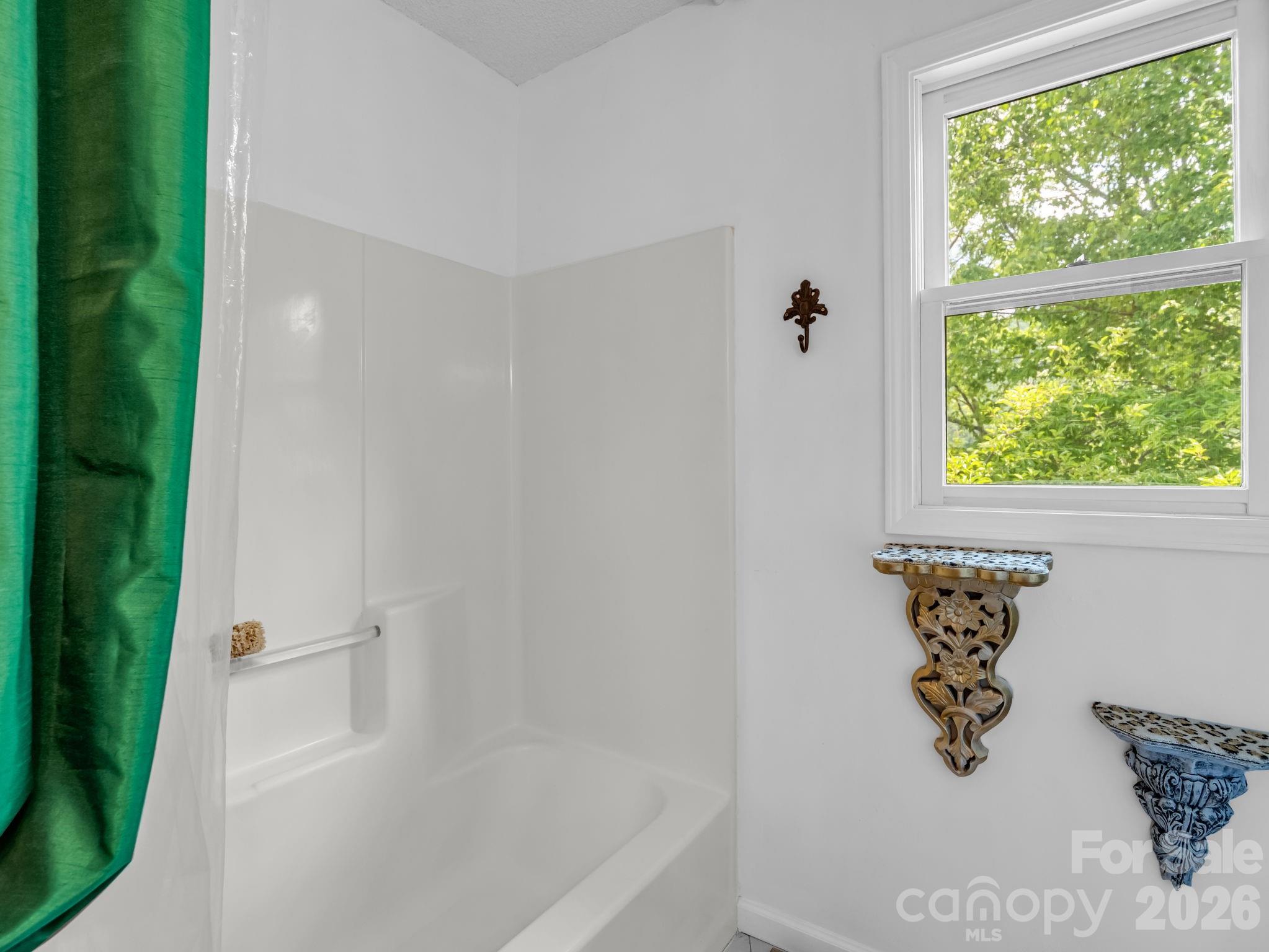 8 Sunny Ridge Drive — Asheville