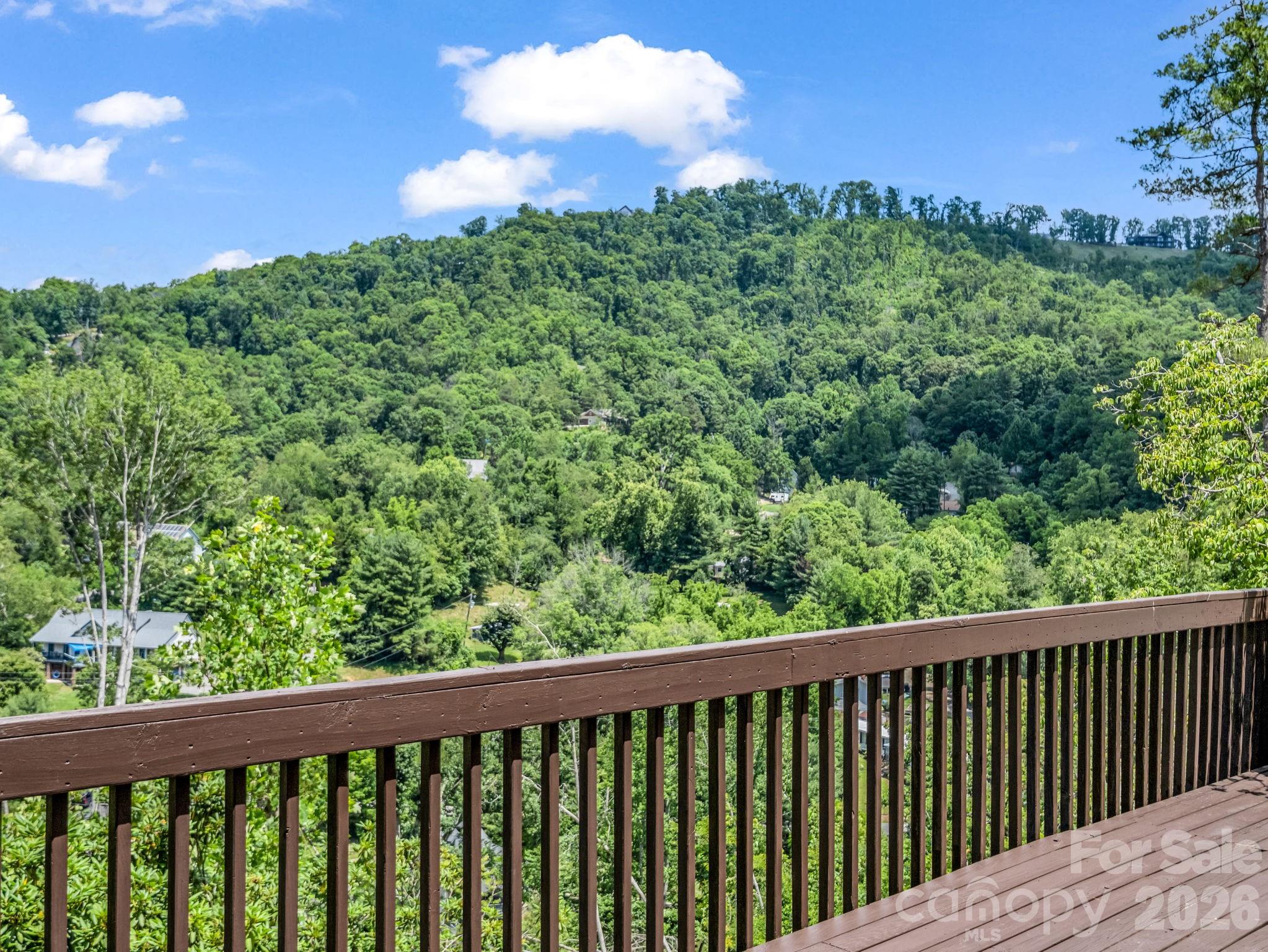 8 Sunny Ridge Drive — Asheville