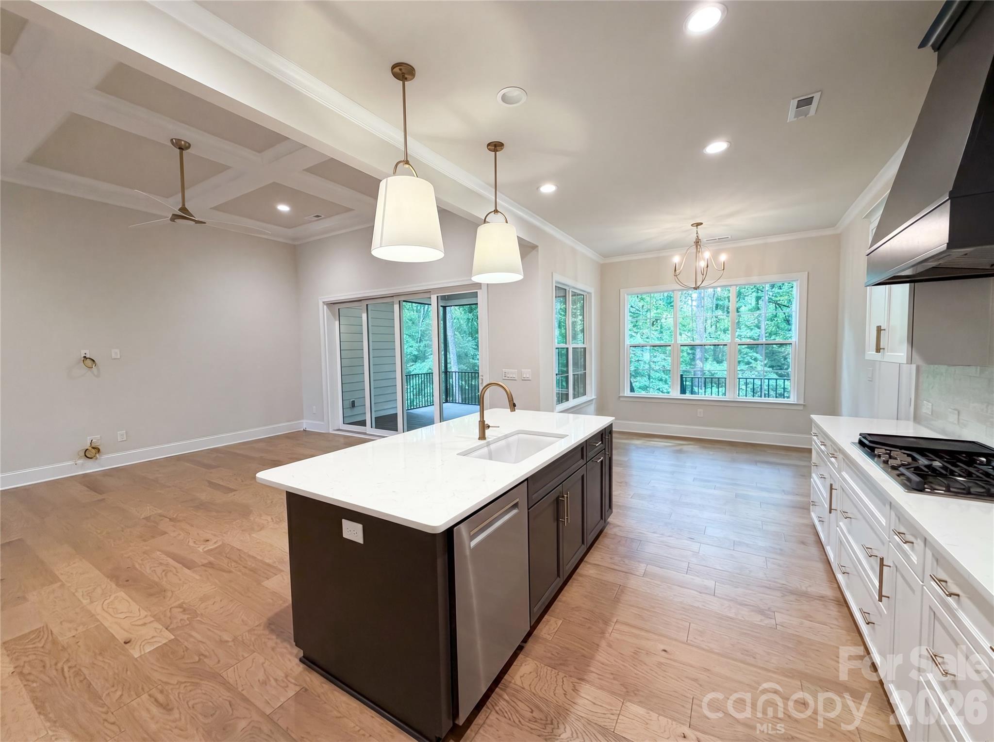 1020 Irish Creek Drive — Landis